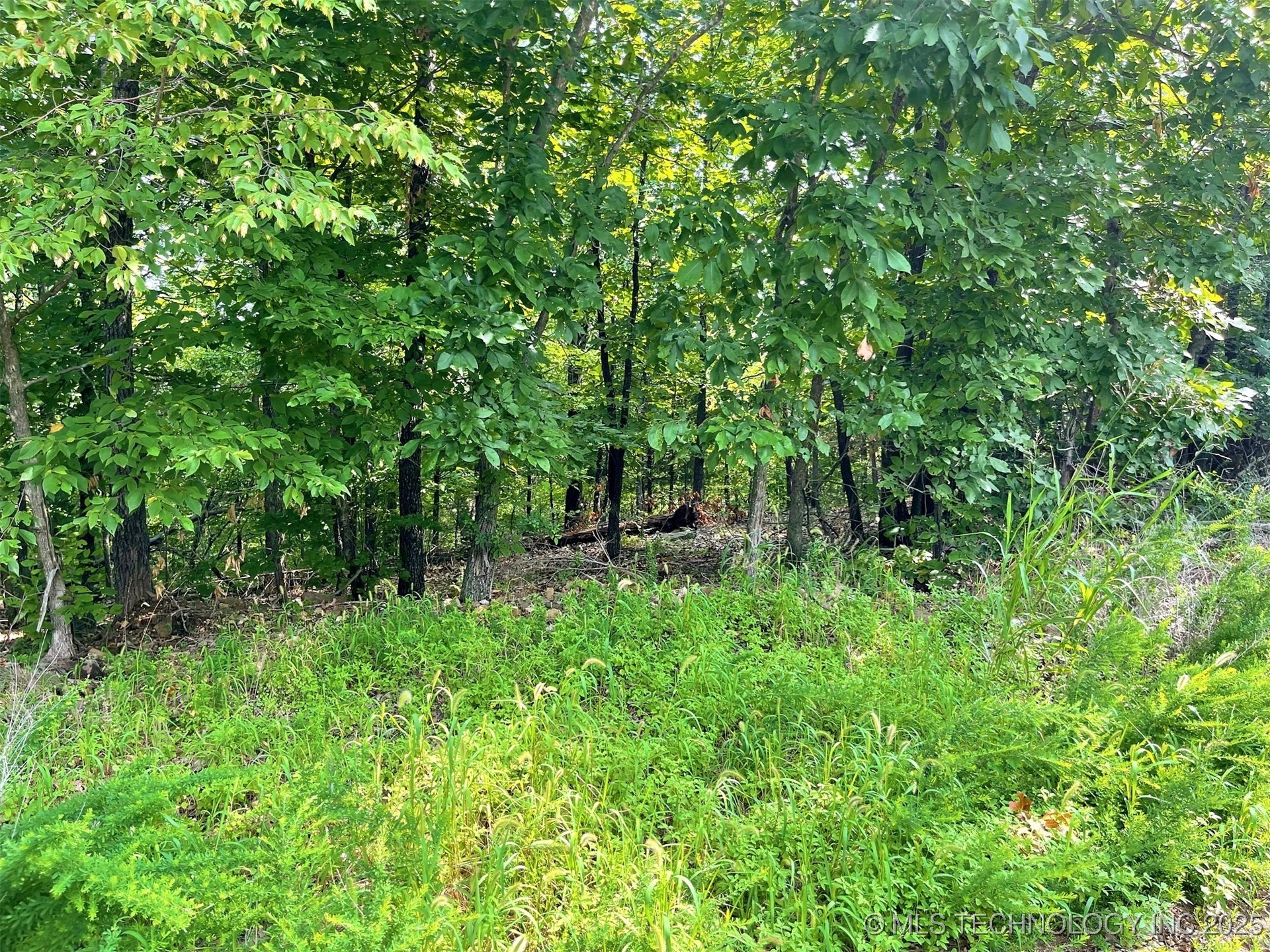 W Canyon Rock Road Property Photo 2