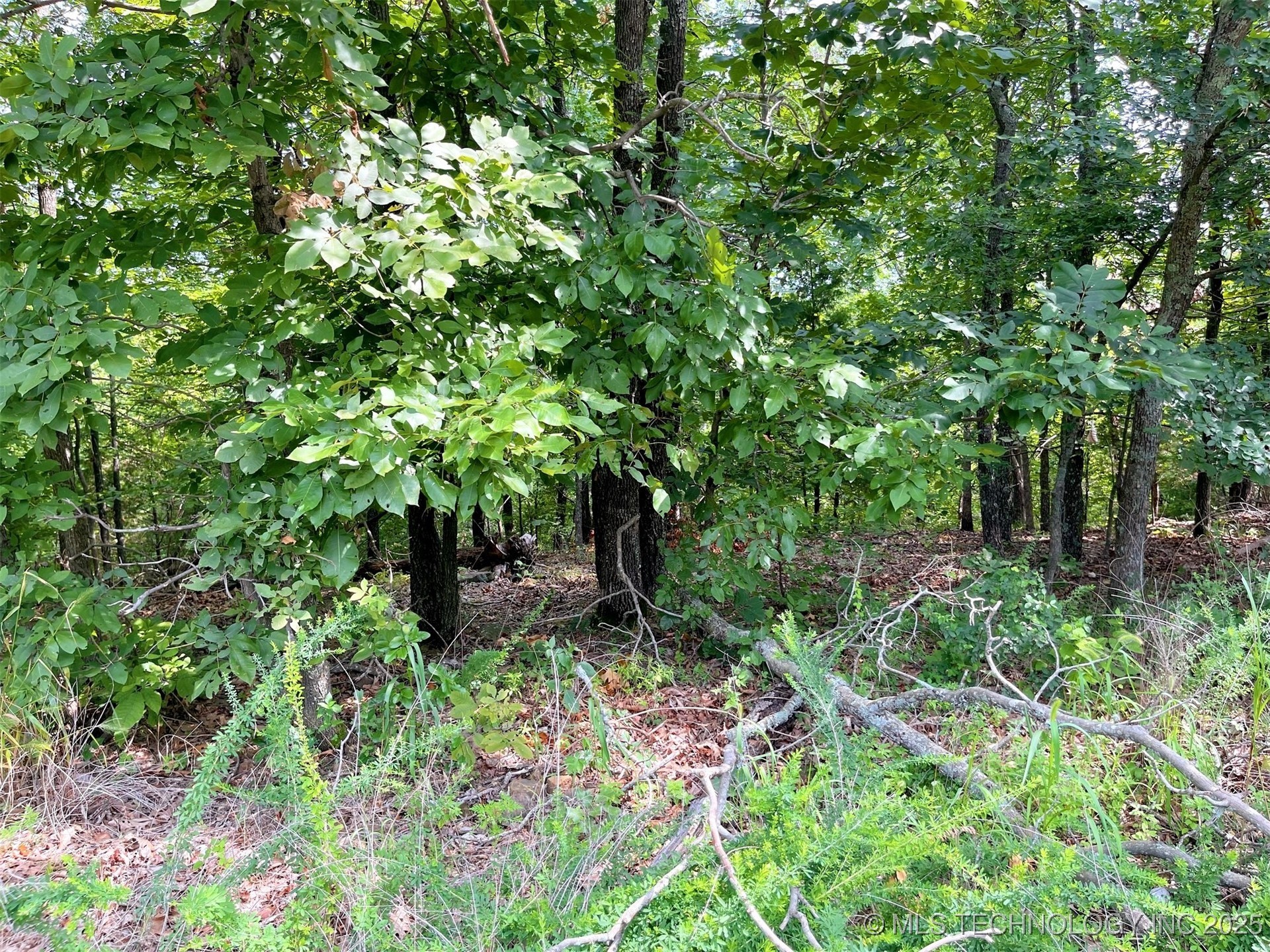 W Canyon Rock Road Property Photo 3