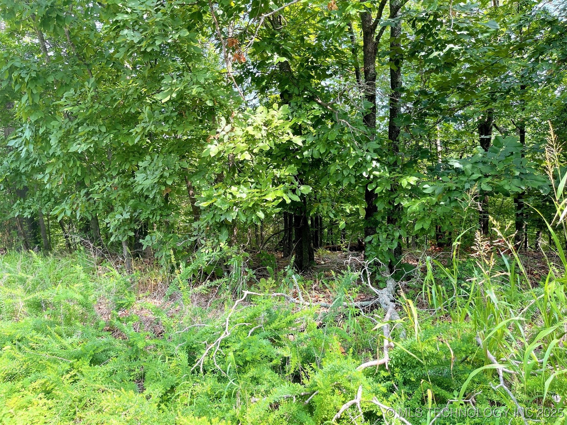 W Canyon Rock Road Property Photo 4