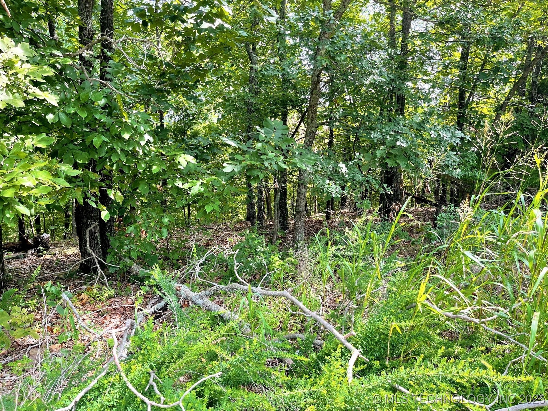 W Canyon Rock Road Property Photo 5