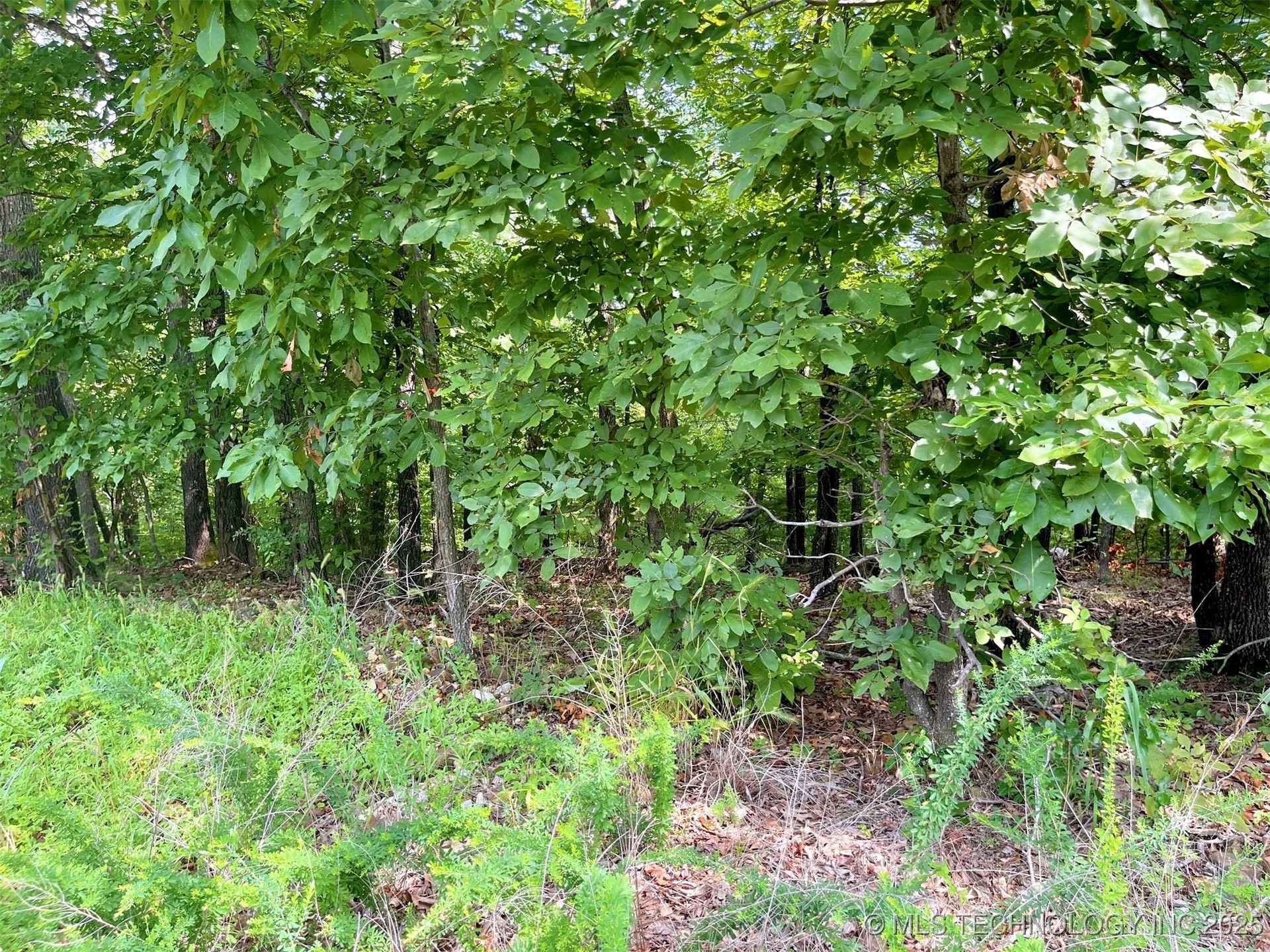 W Canyon Rock Road Property Photo 6