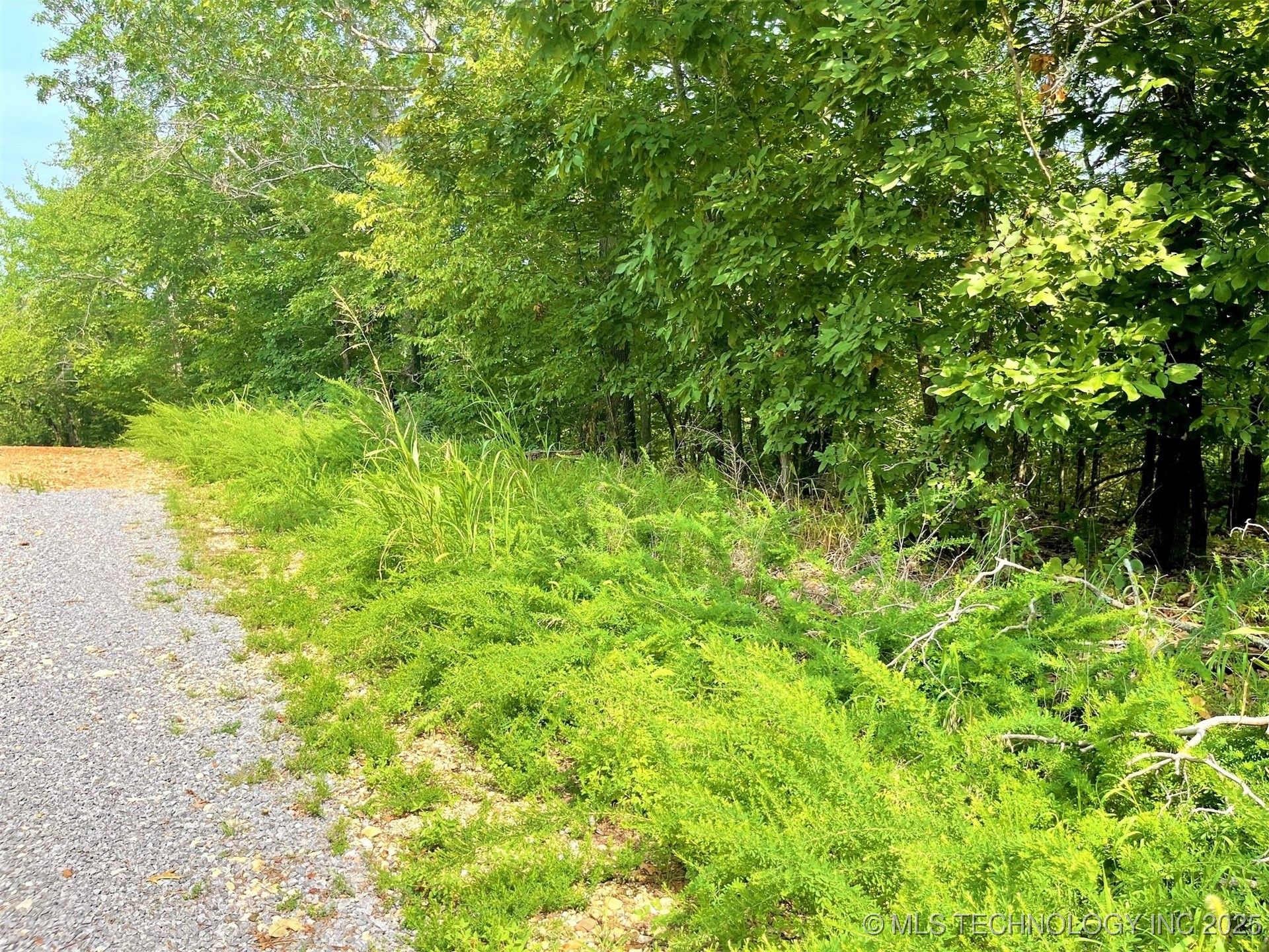 W Canyon Rock Road Property Photo 7