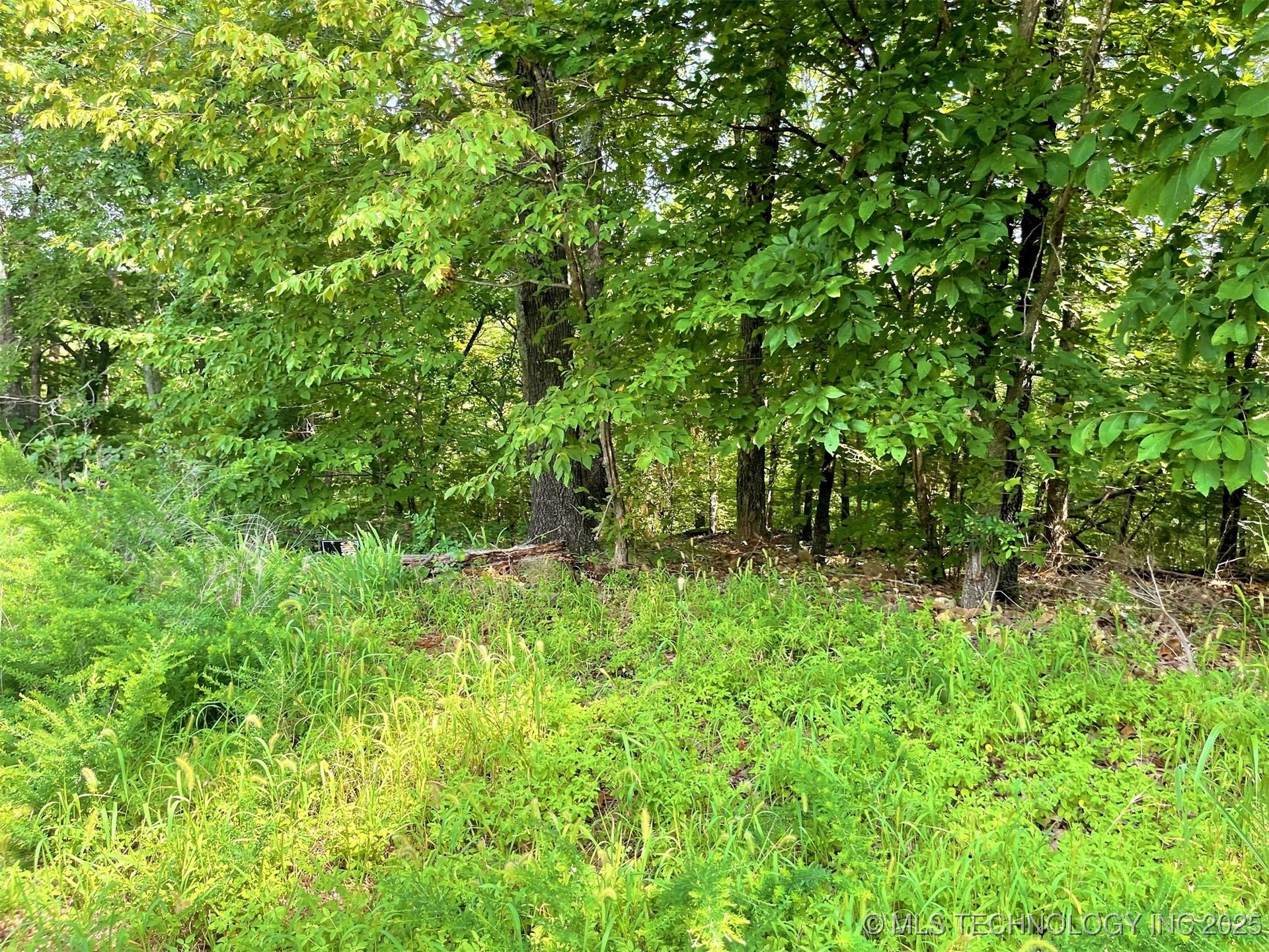 W Canyon Rock Road Property Photo 8