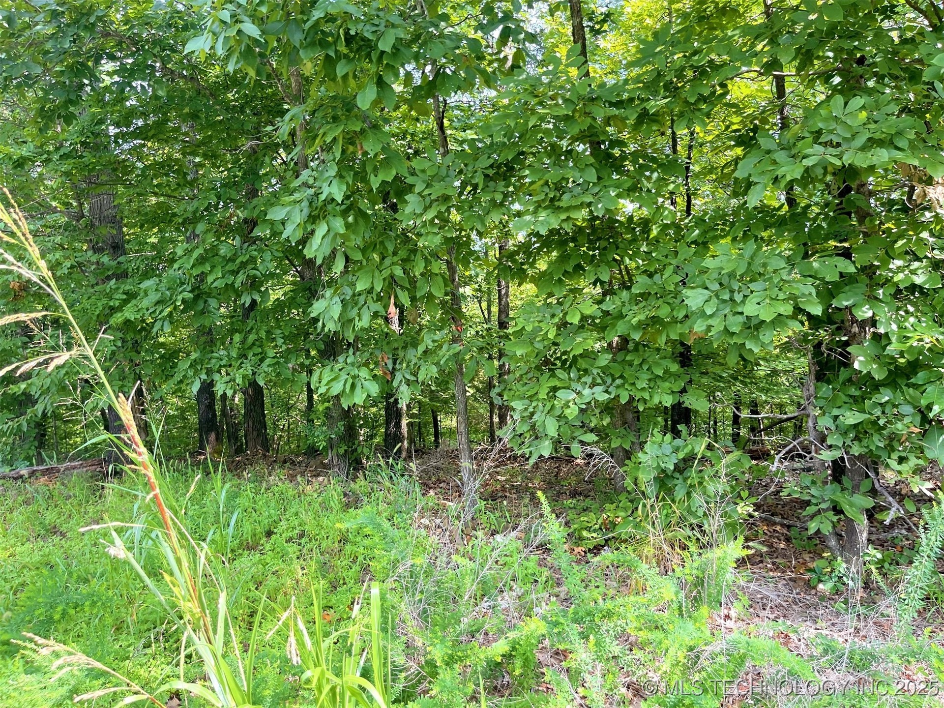 W Canyon Rock Road Property Photo 9