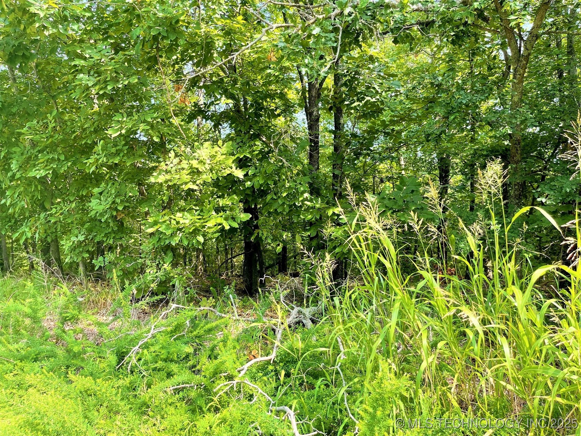 W Canyon Rock Road Property Photo 10