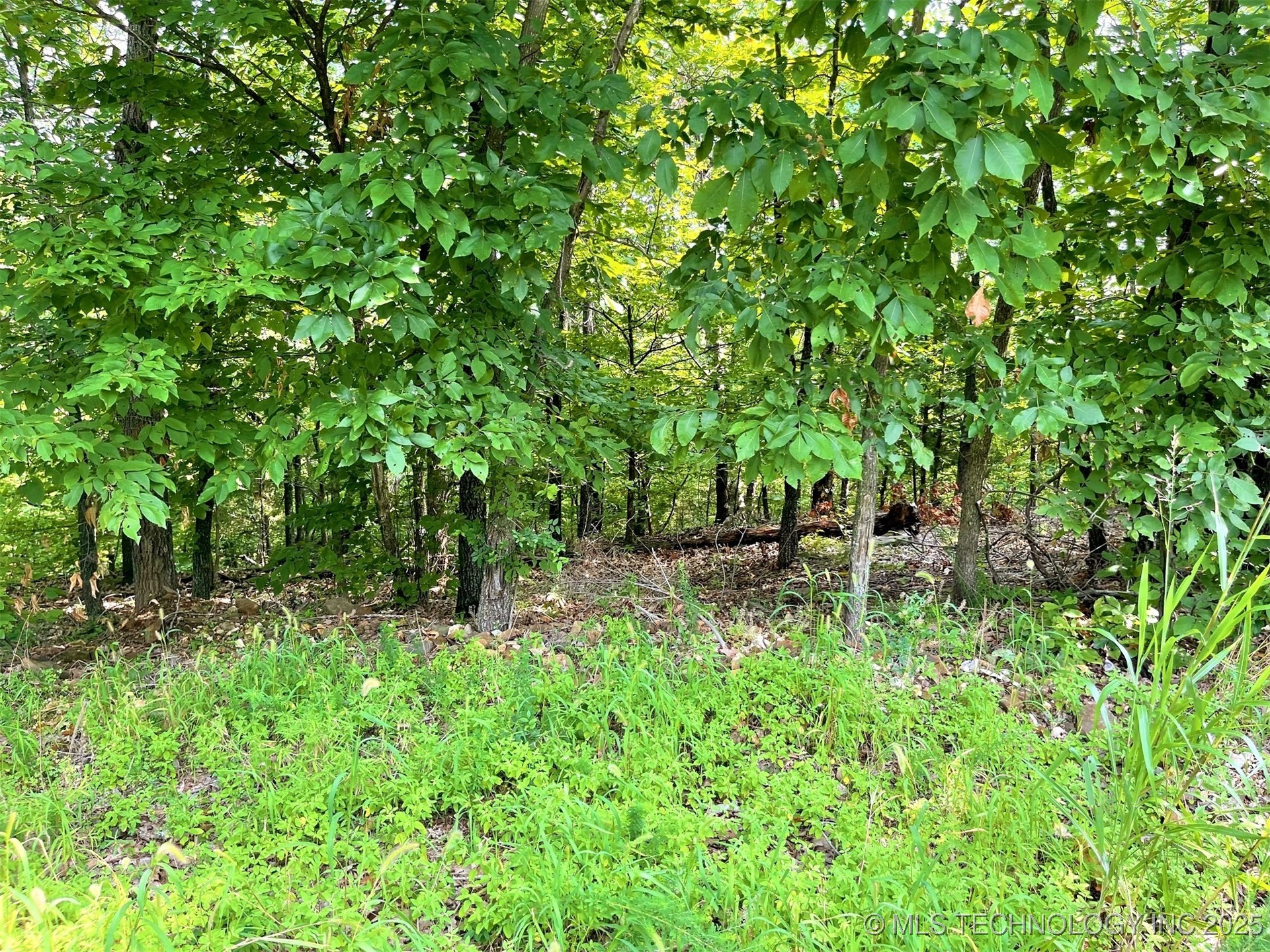 W Canyon Rock Road Property Photo 11