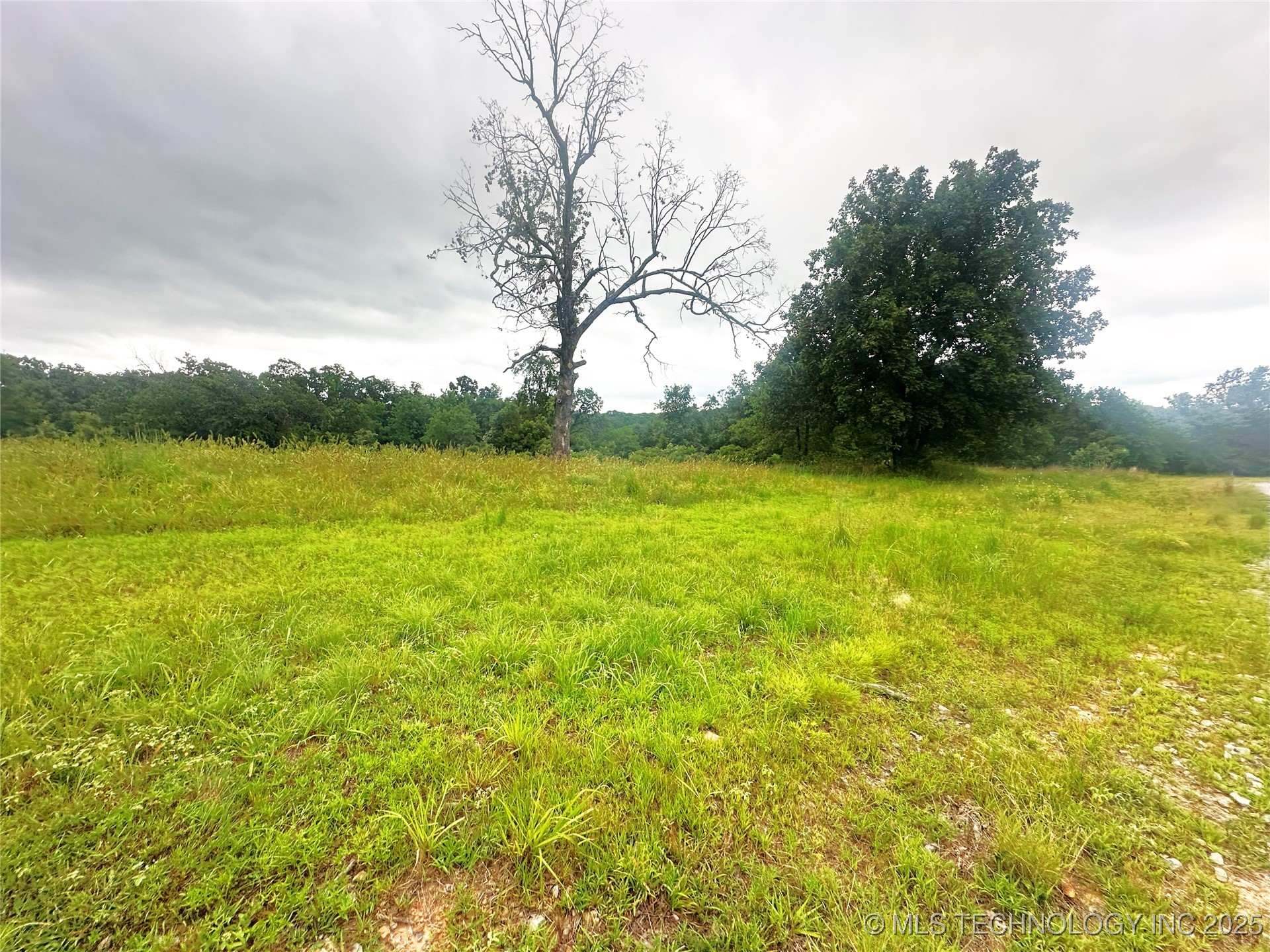 41 4299 Loop Property Photo 5