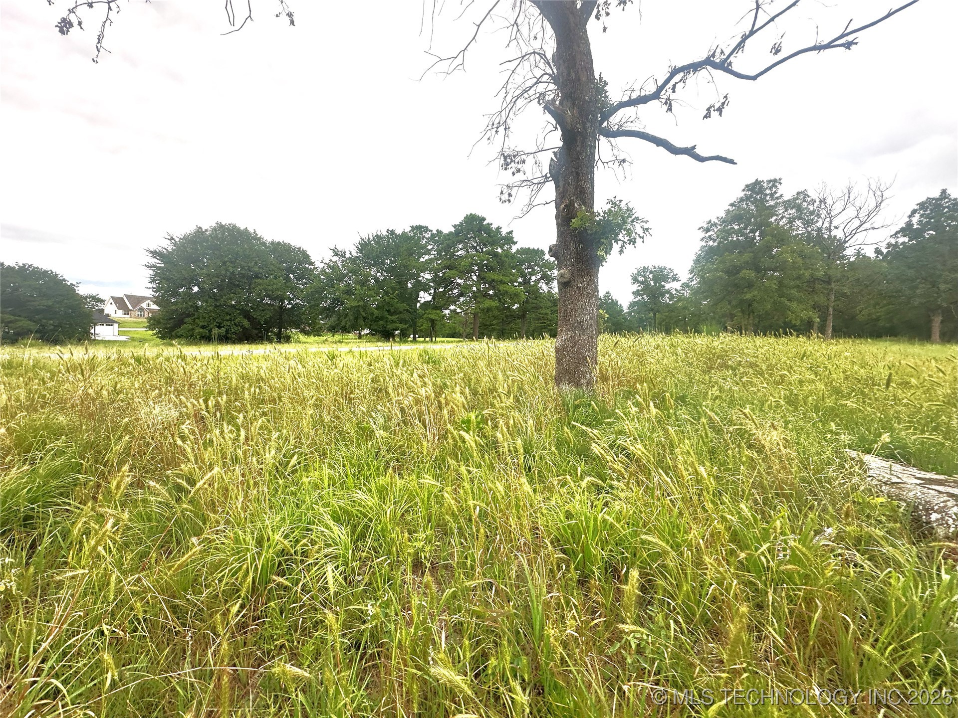 41 4299 Loop Property Photo 8