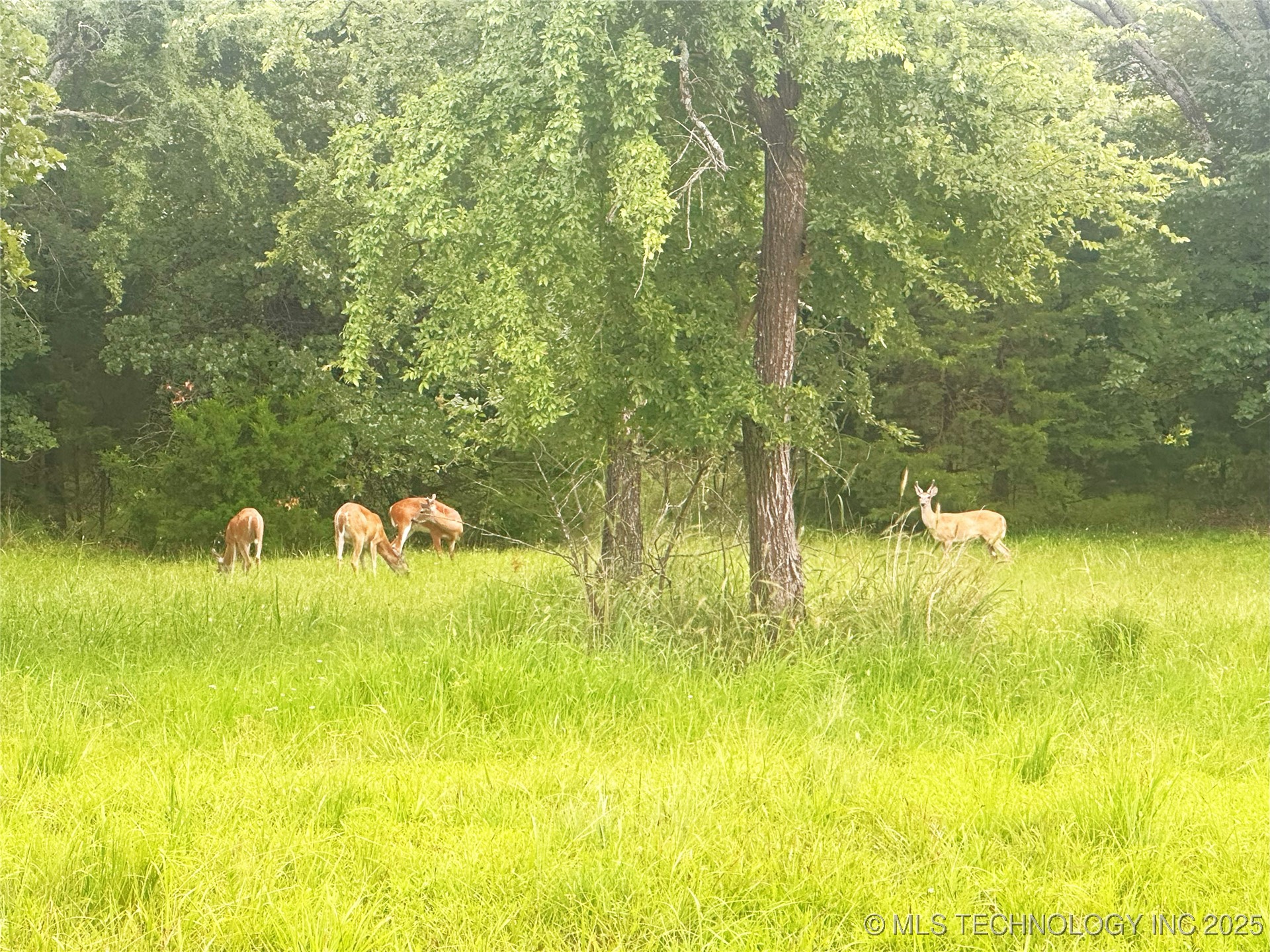 41 4299 Loop Property Photo 11