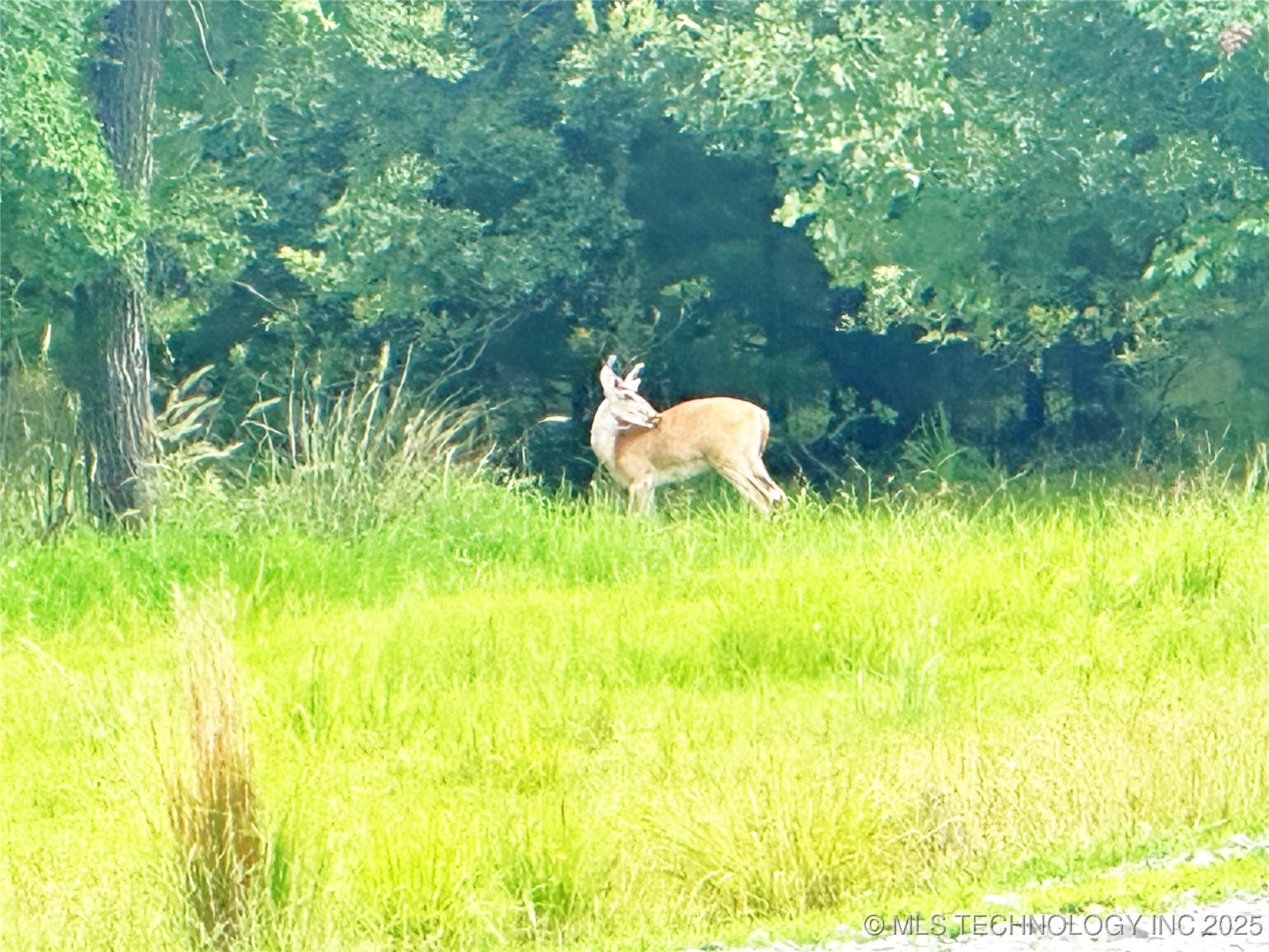 41 4299 Loop Property Photo 12