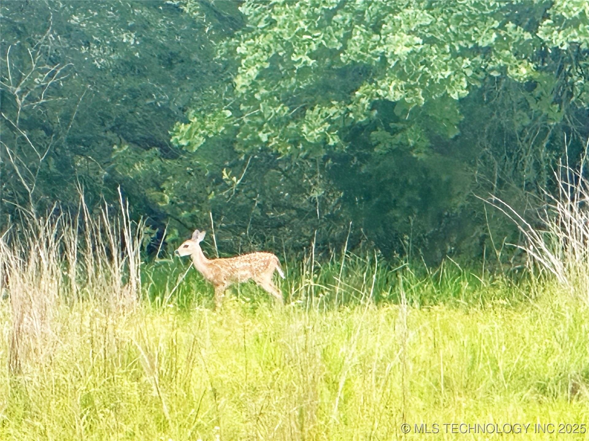 41 4299 Loop Property Photo 13