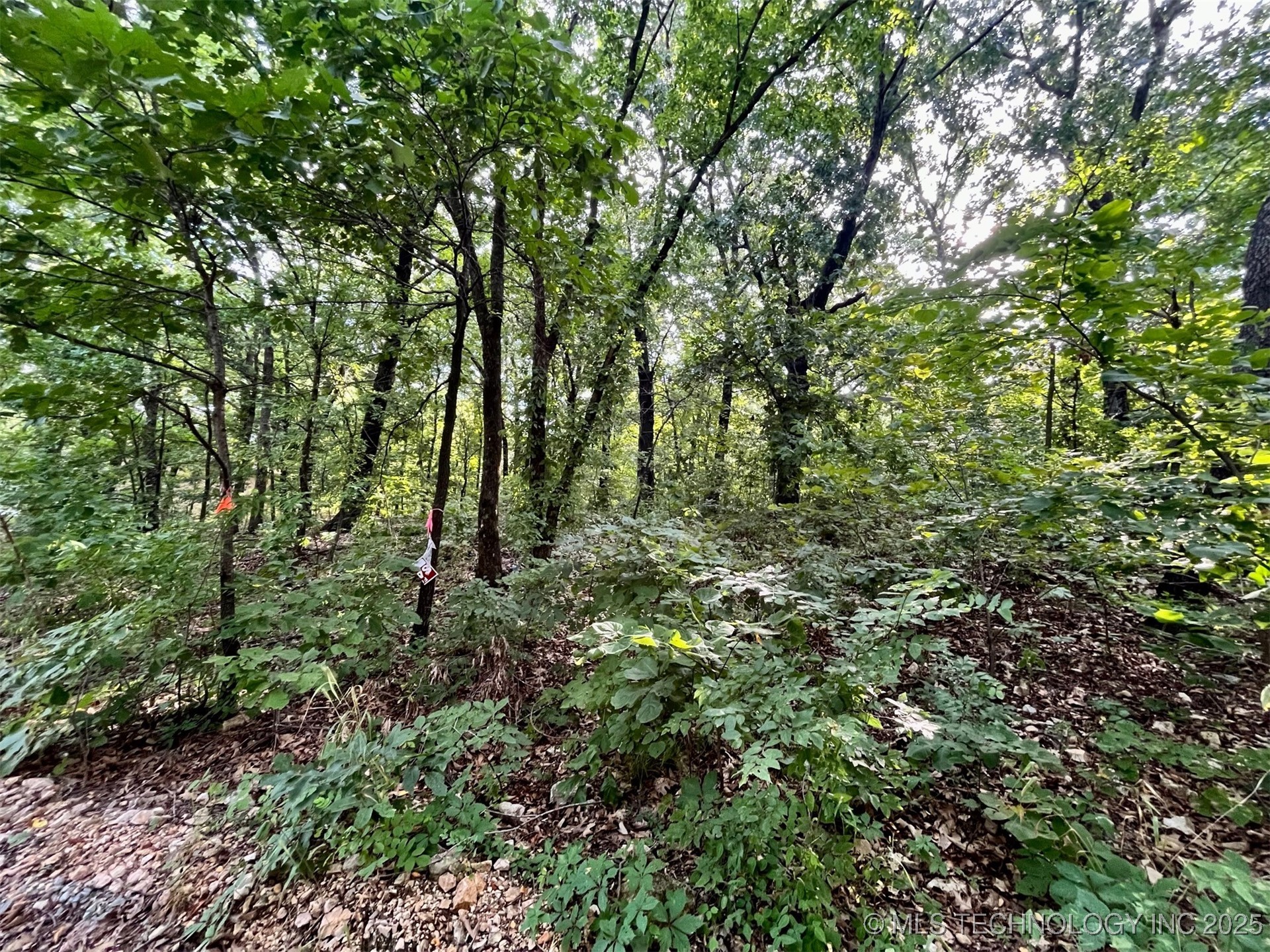 00 Moccasin Lane Property Photo 8