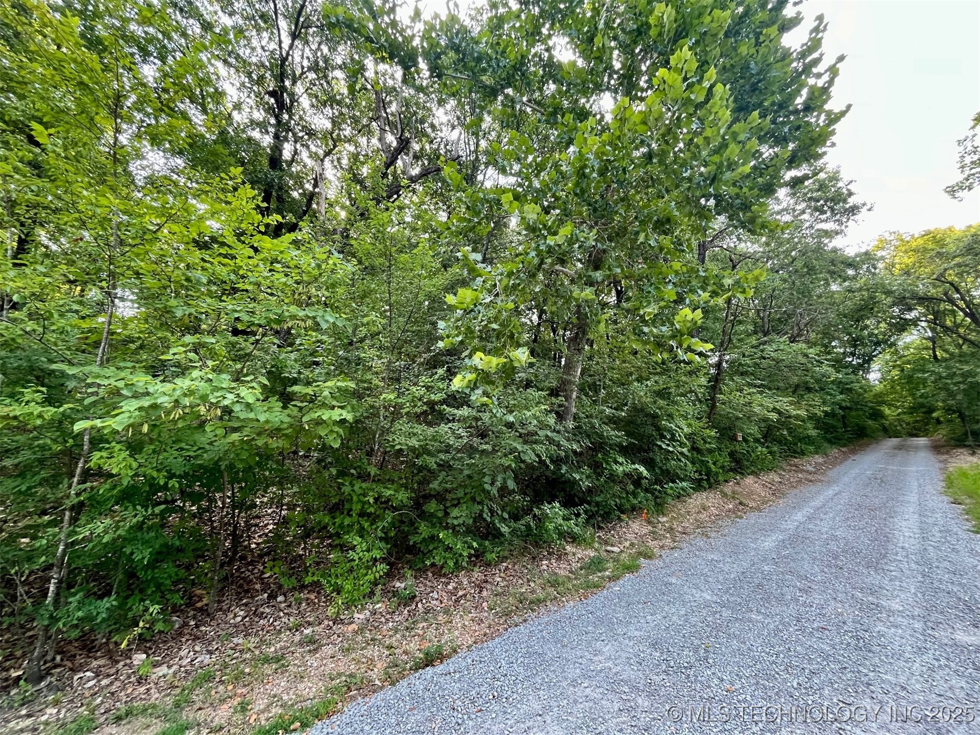 00 Moccasin Lane Property Photo 9