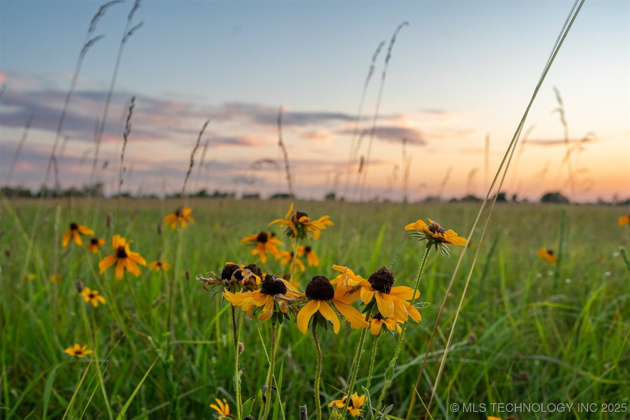 17022 W Grandview Road Property Photo 20