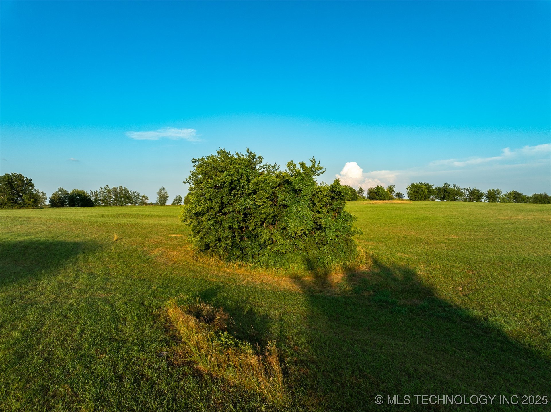 17022 W Grandview Road Property Photo 53