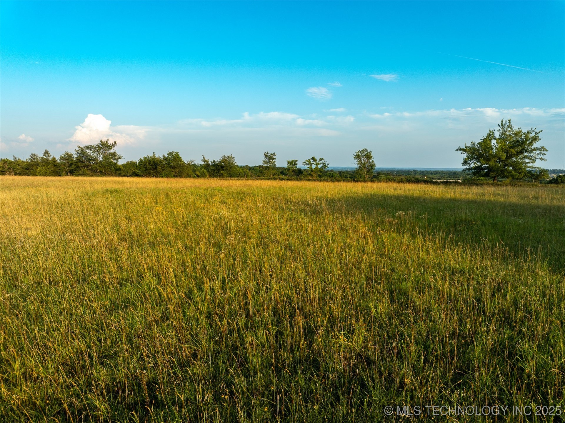 17022 W Grandview Road Property Photo 57
