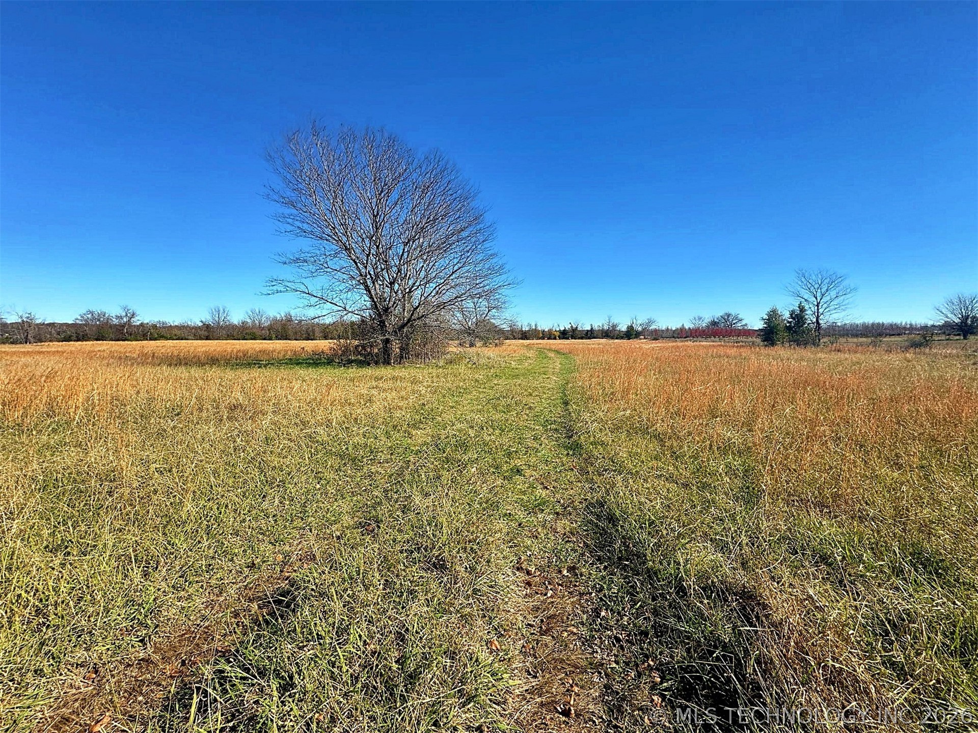 16509 N Bryant Road Property Photo 19