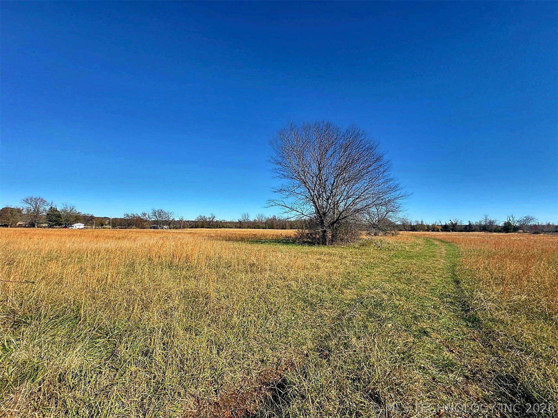 16509 N Bryant Road Property Photo 20