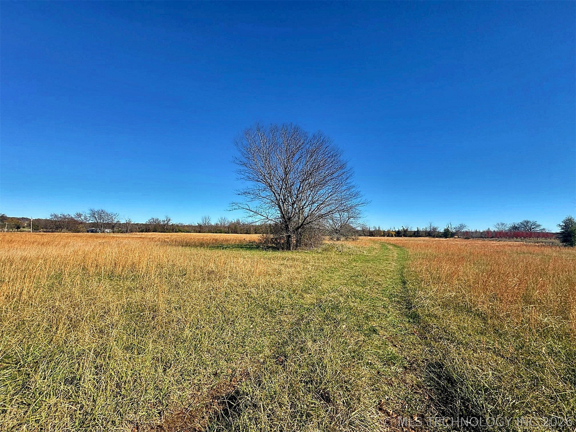 16509 N Bryant Road Property Photo 21