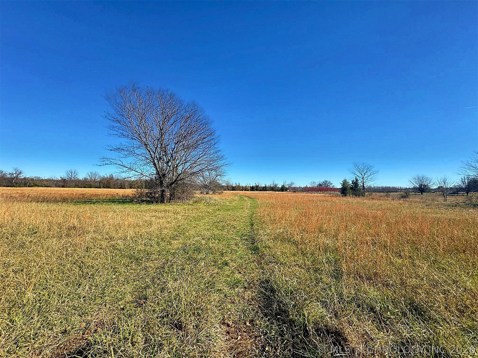 16509 N Bryant Road Property Photo 22