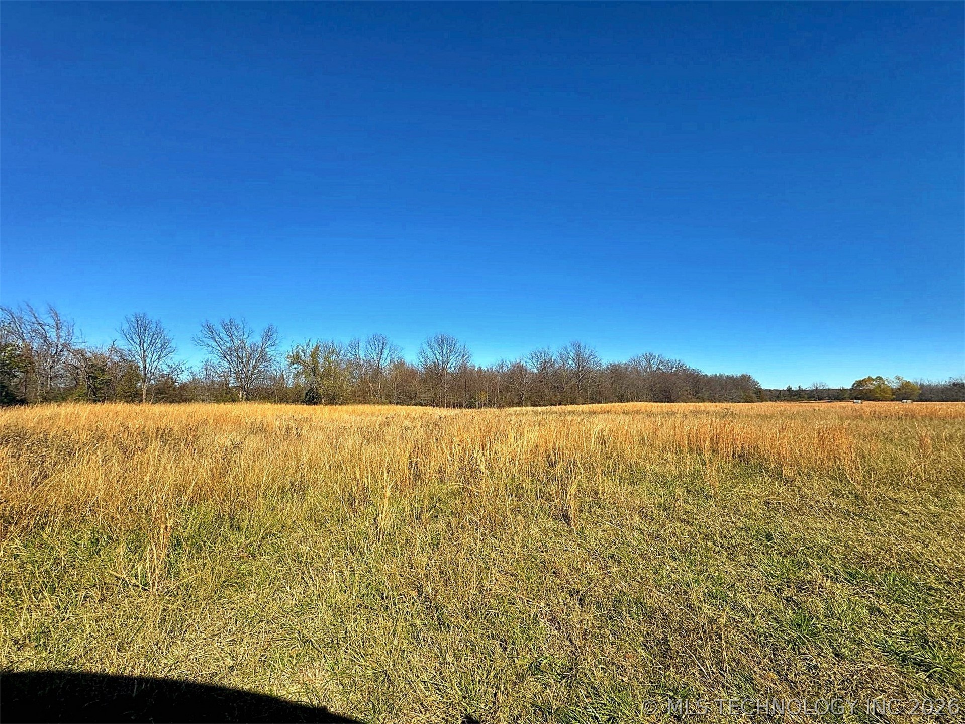 16509 N Bryant Road Property Photo 27