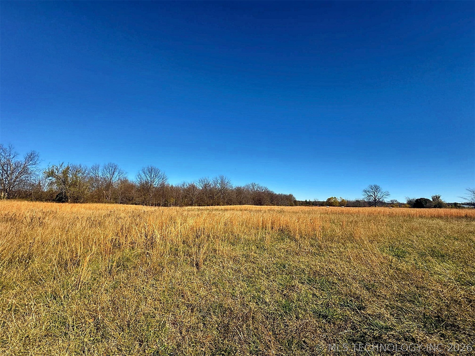 16509 N Bryant Road Property Photo 28