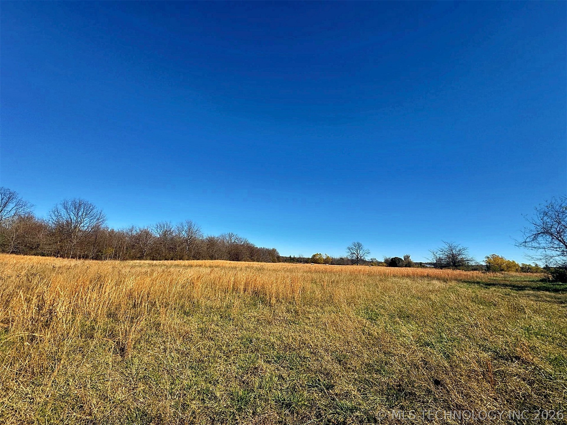 16509 N Bryant Road Property Photo 29