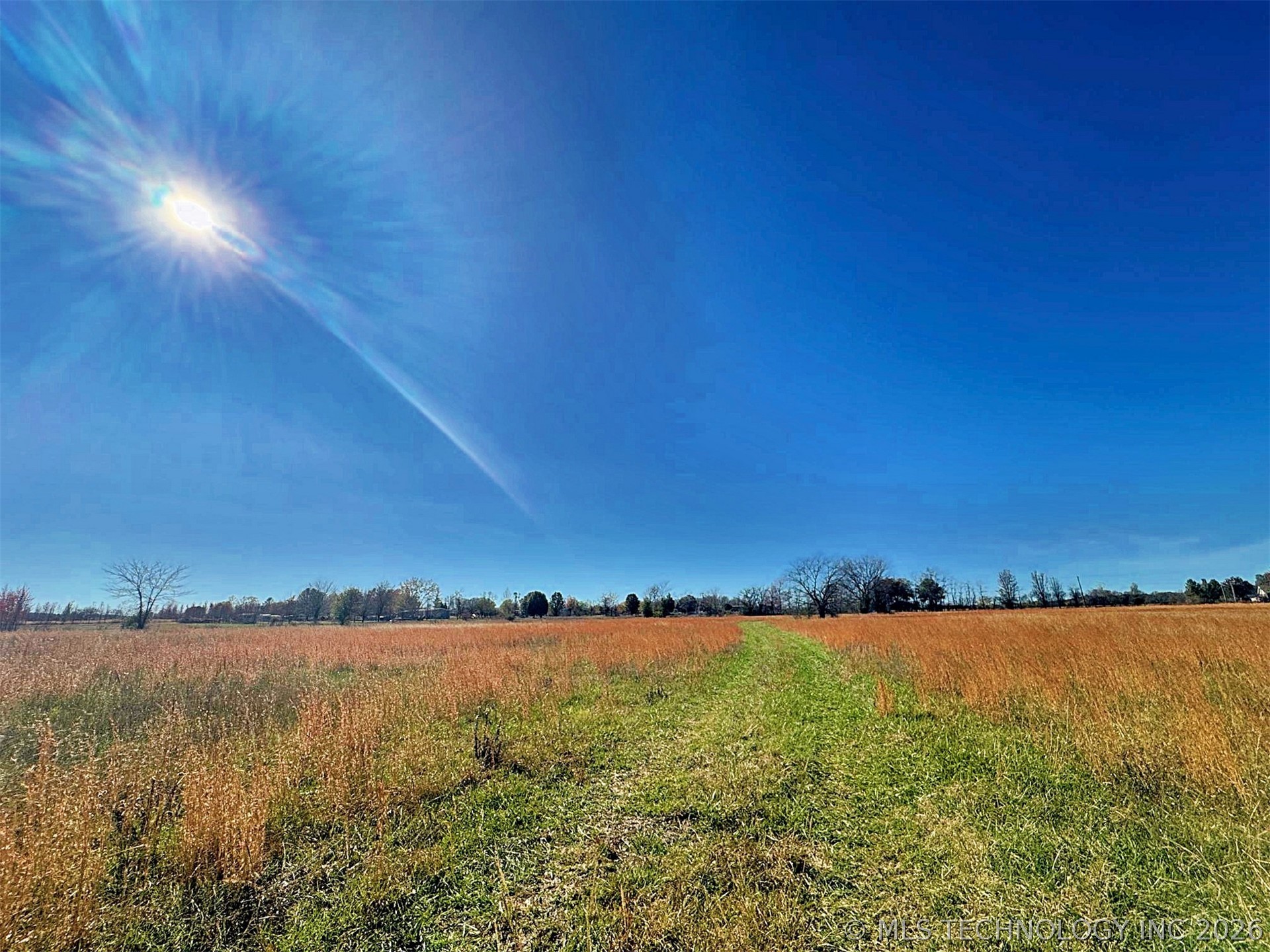 16509 N Bryant Road Property Photo 30