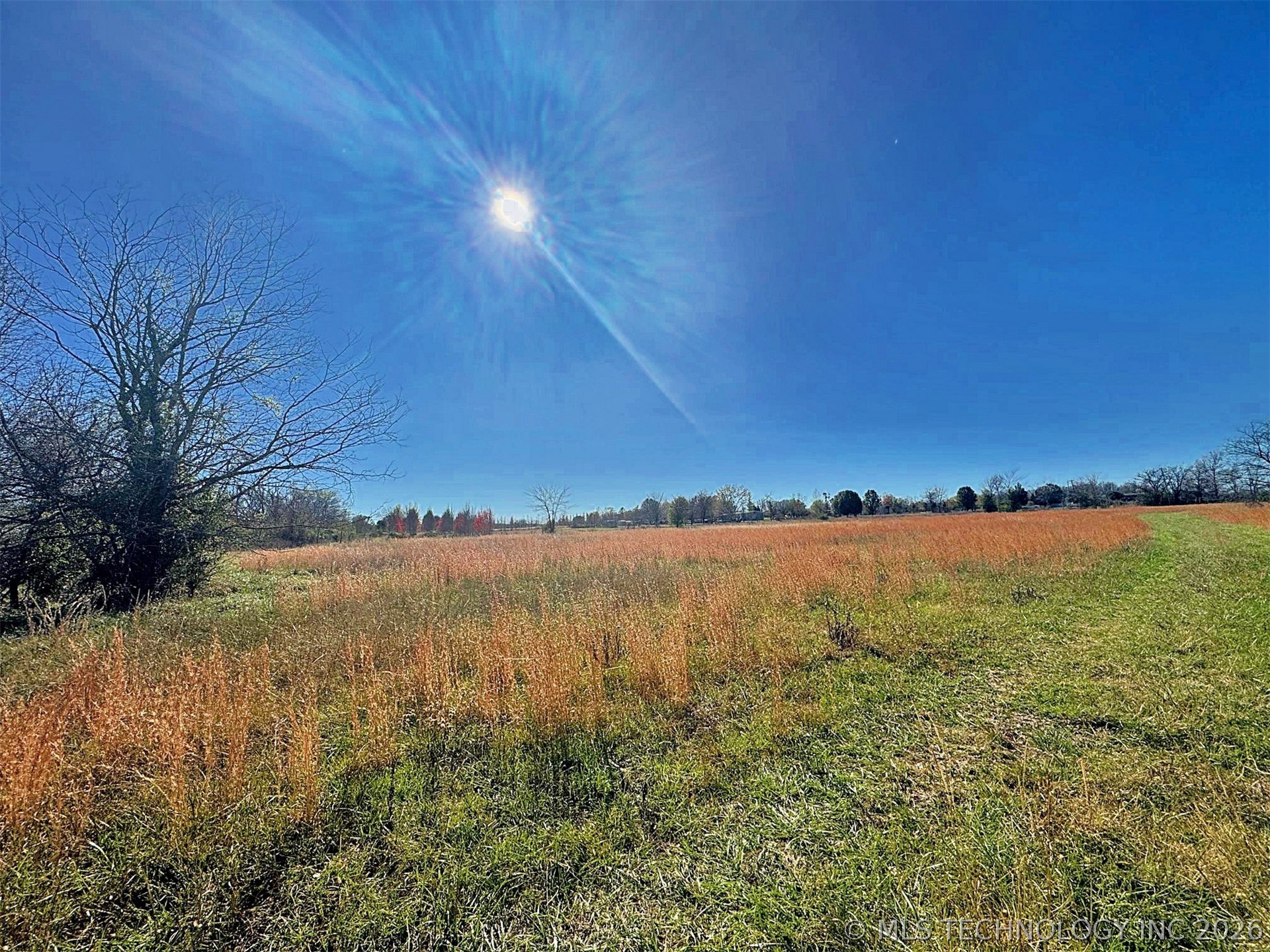 16509 N Bryant Road Property Photo 31