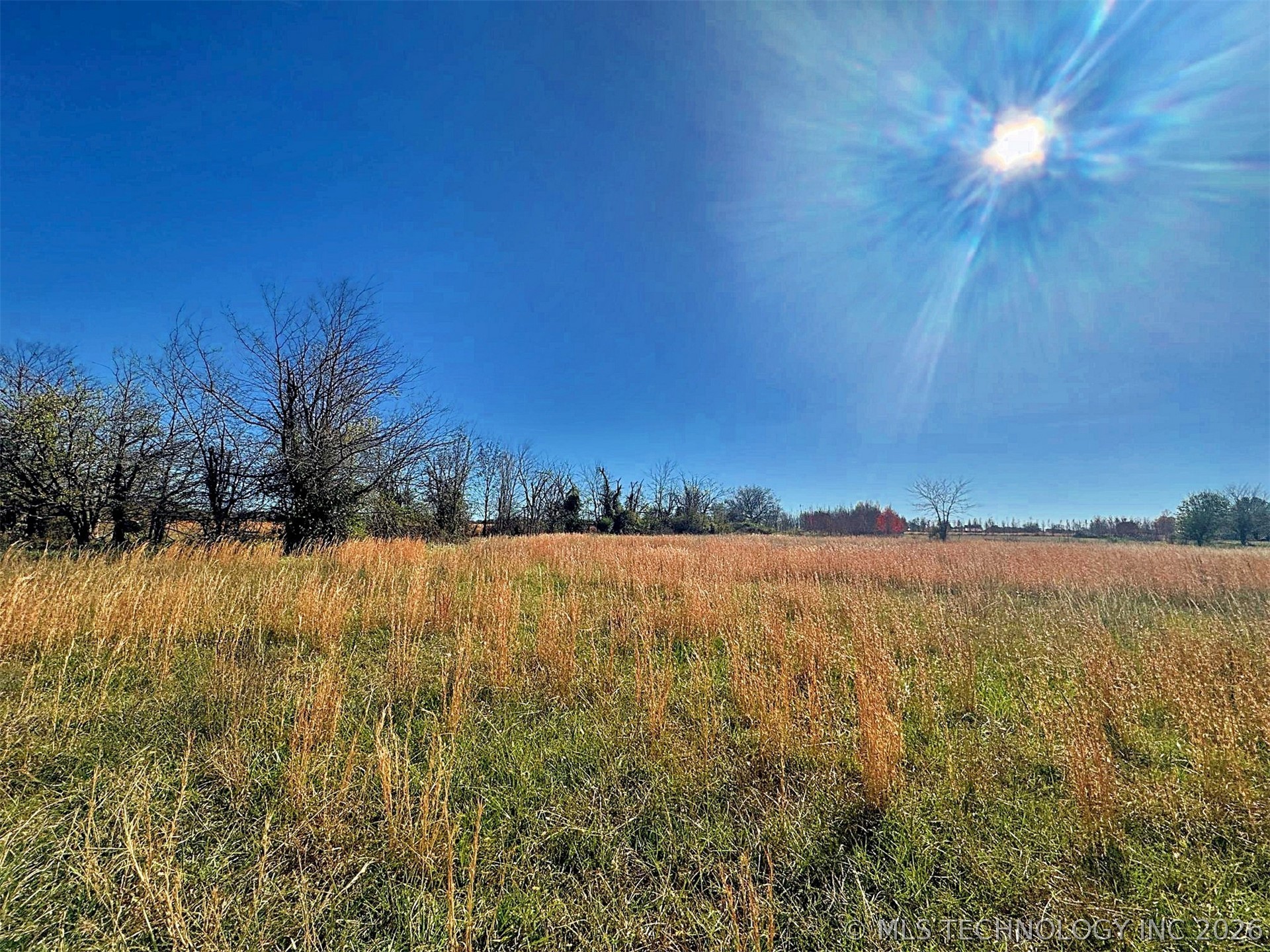 16509 N Bryant Road Property Photo 32
