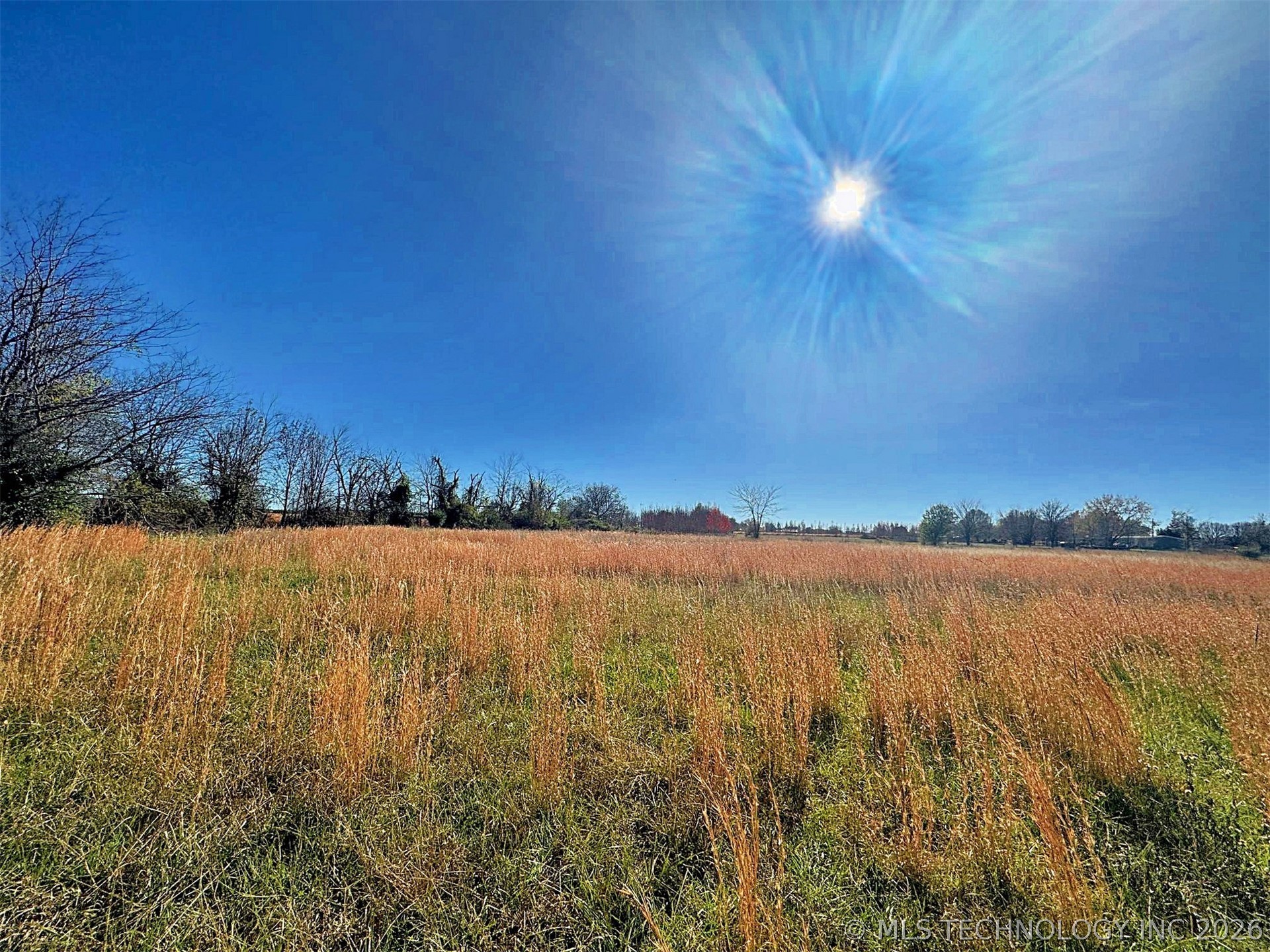 16509 N Bryant Road Property Photo 33