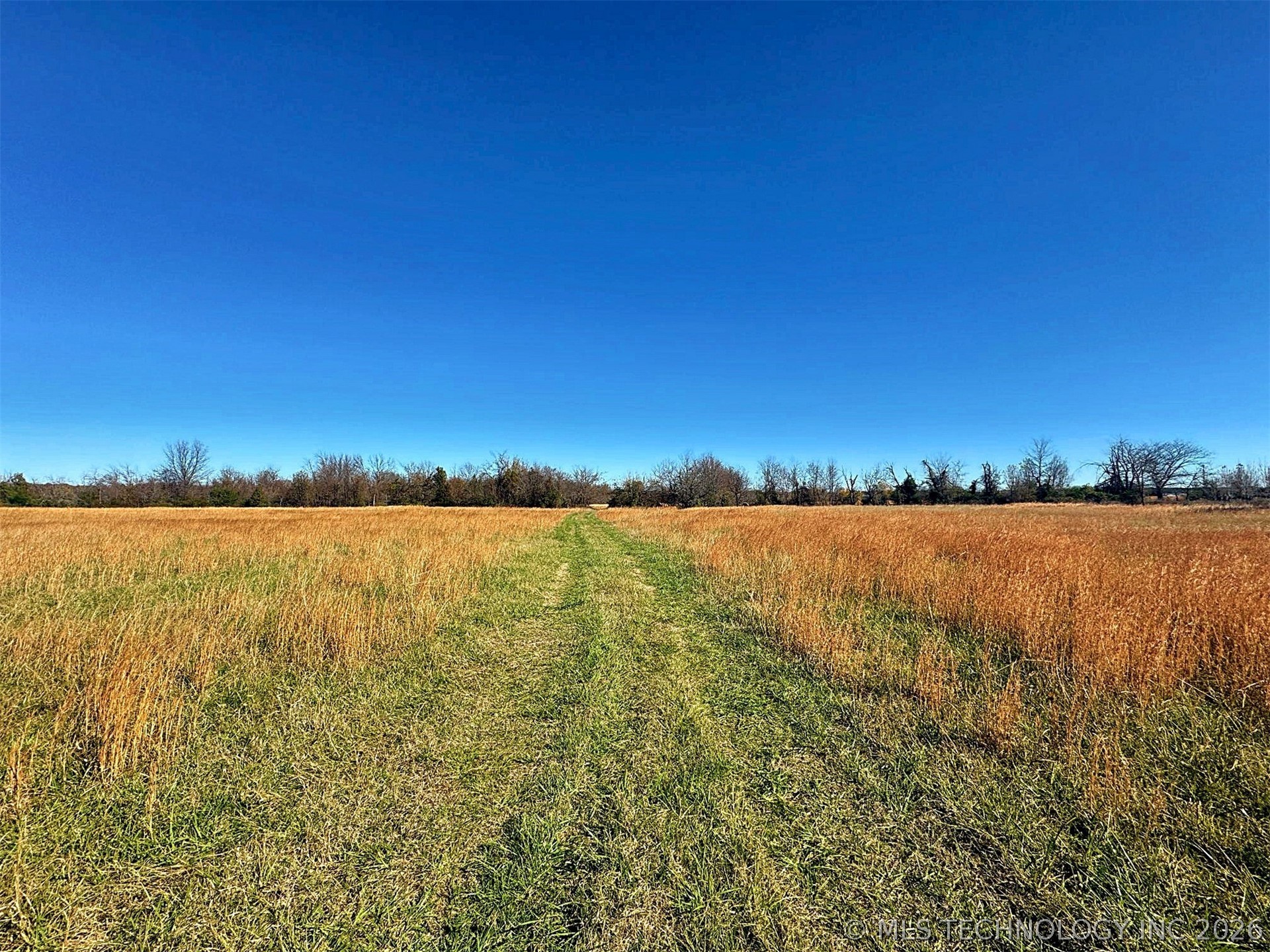 16509 N Bryant Road Property Photo 34