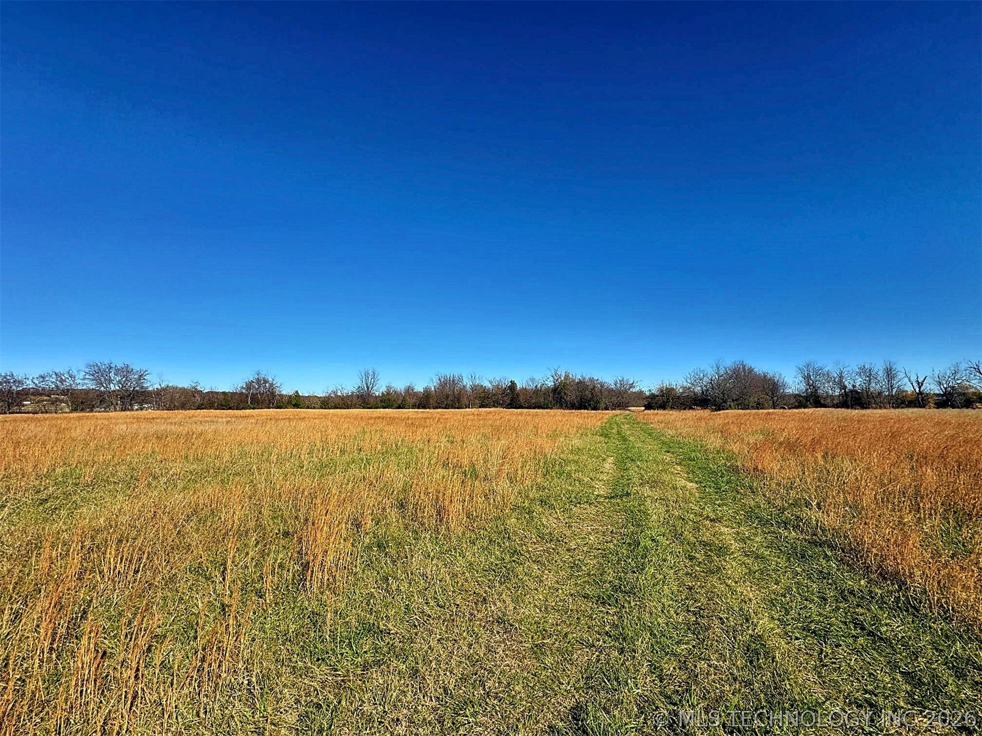 16509 N Bryant Road Property Photo 35