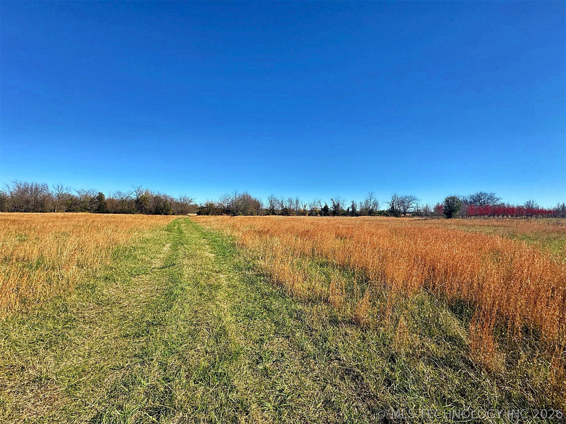16509 N Bryant Road Property Photo 36