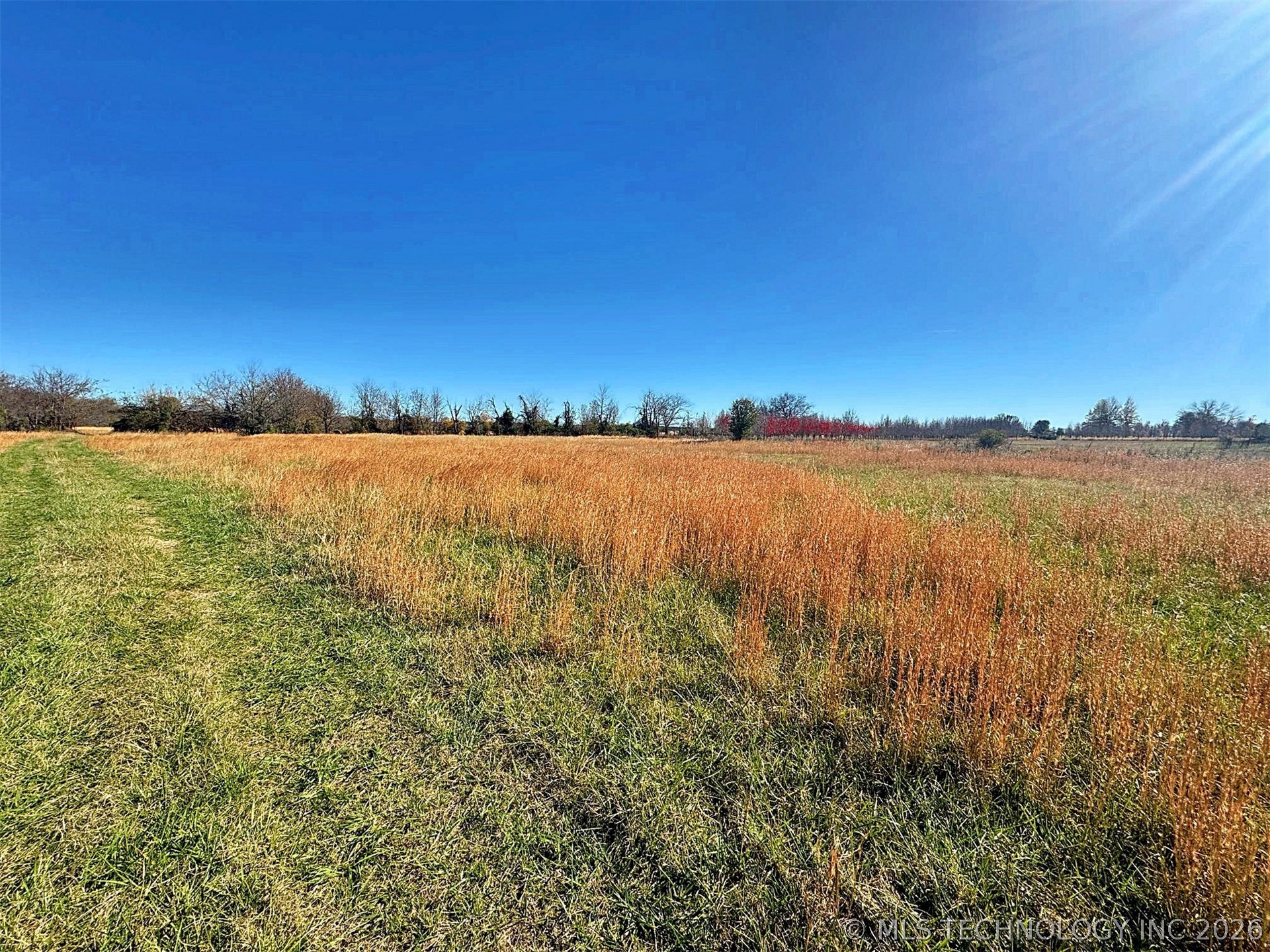 16509 N Bryant Road Property Photo 37