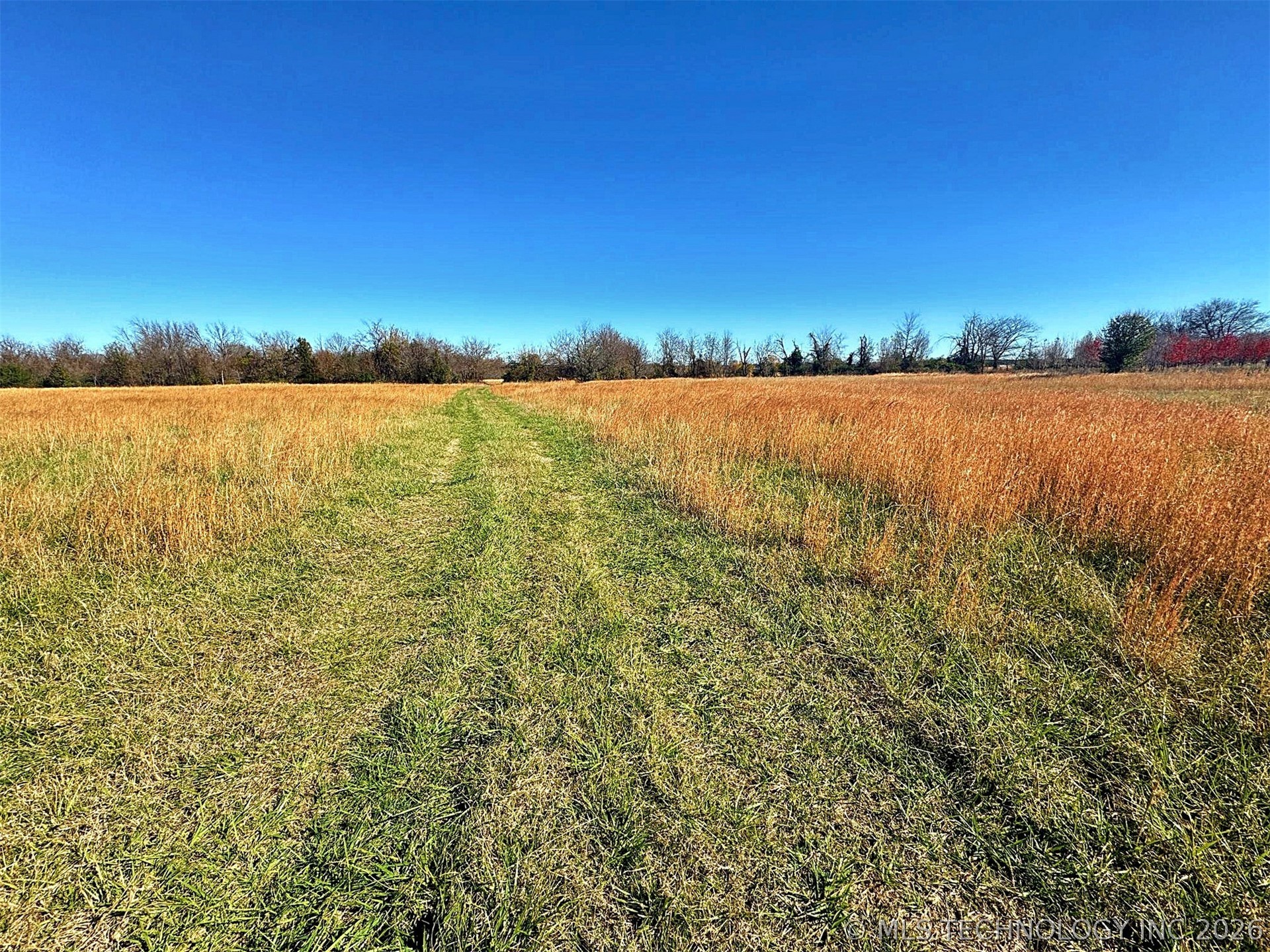16509 N Bryant Road Property Photo 38