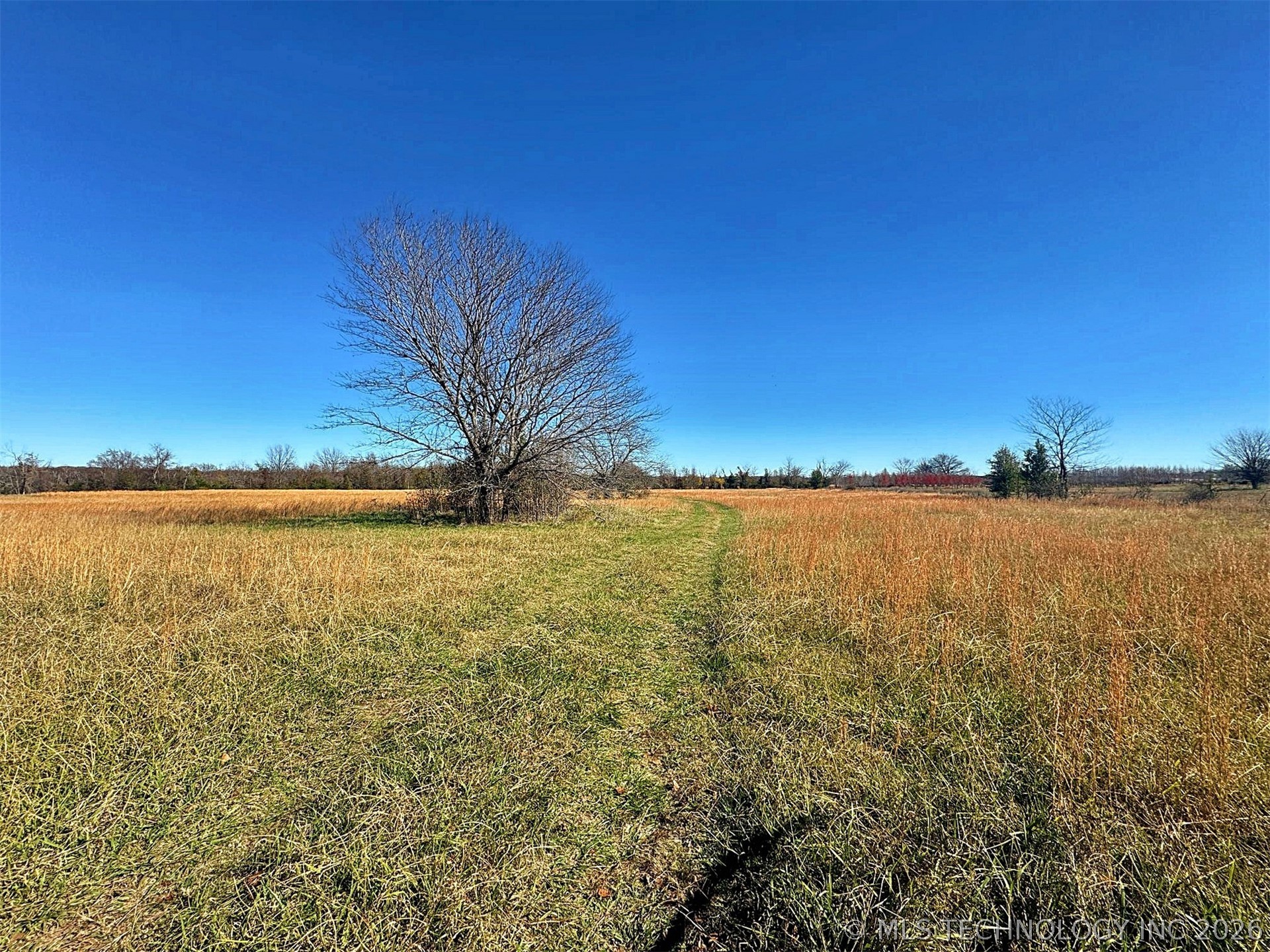 16509 N Bryant Road Property Photo 39