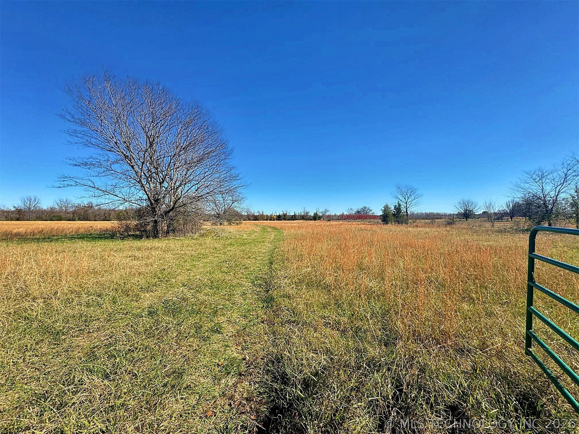 16509 N Bryant Road Property Photo 40