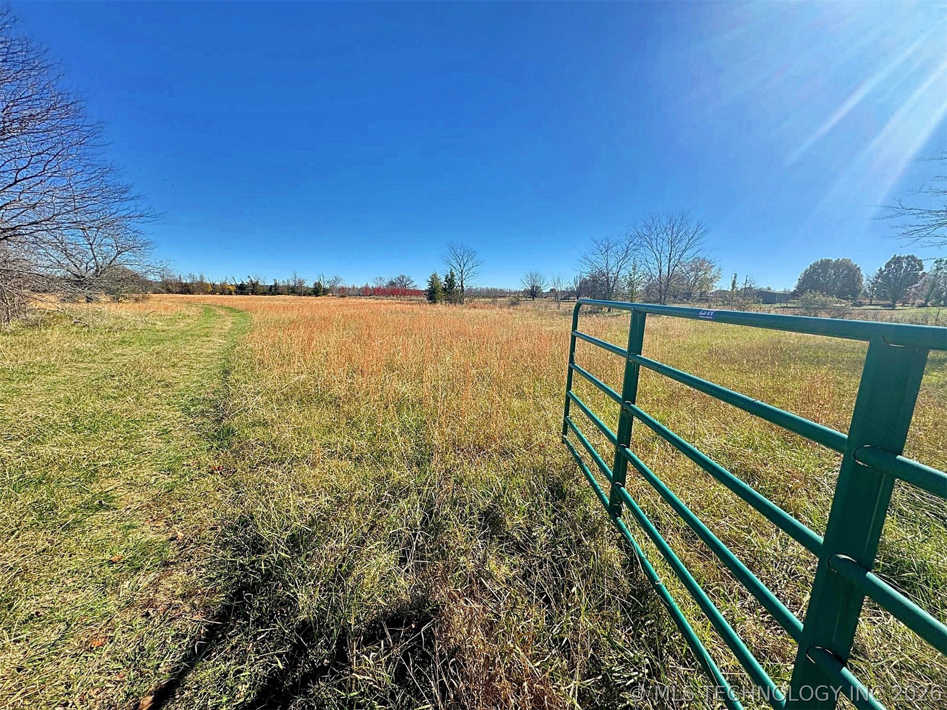 16509 N Bryant Road Property Photo 41