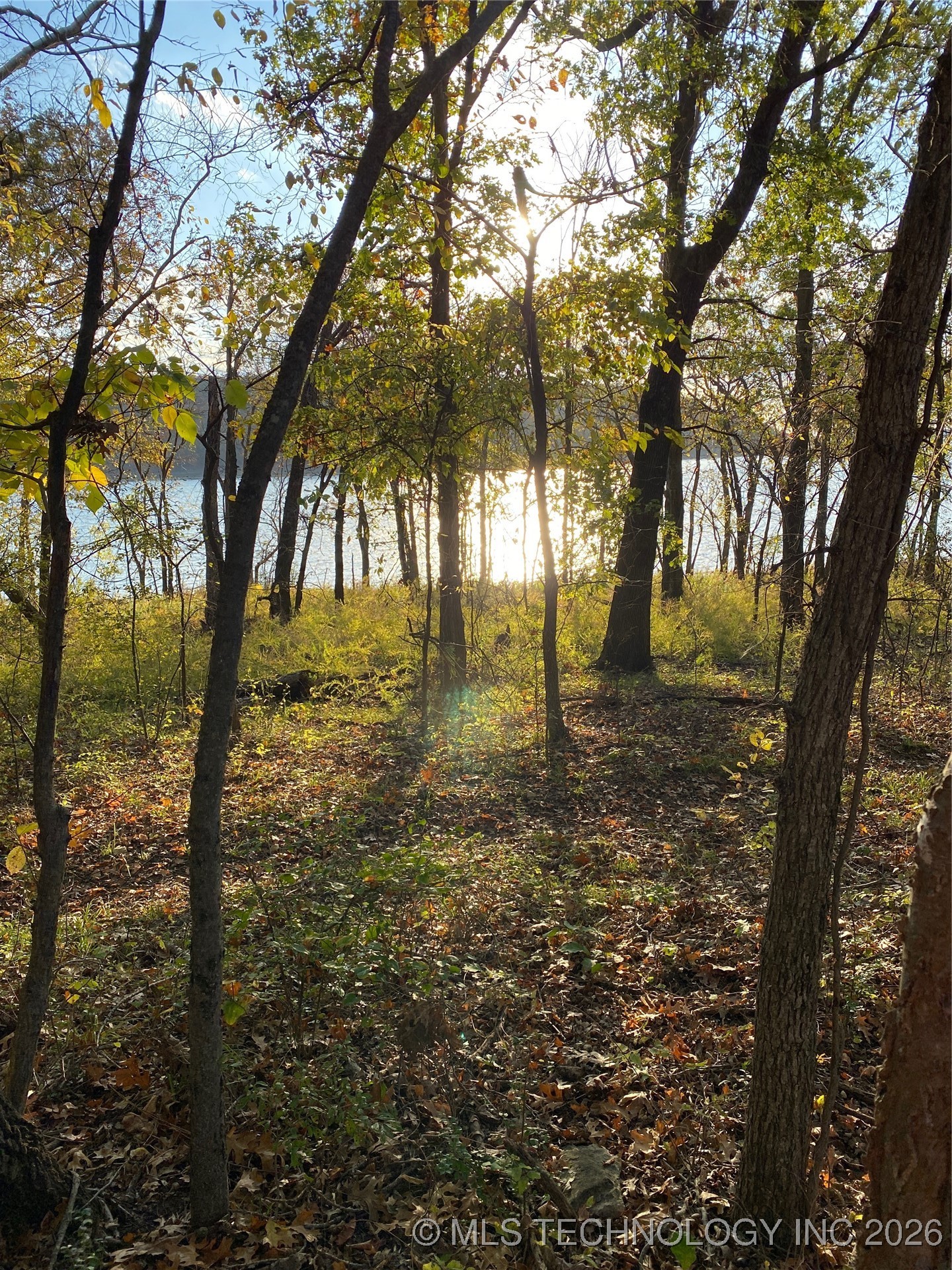 Edgewater Road Property Photo 6