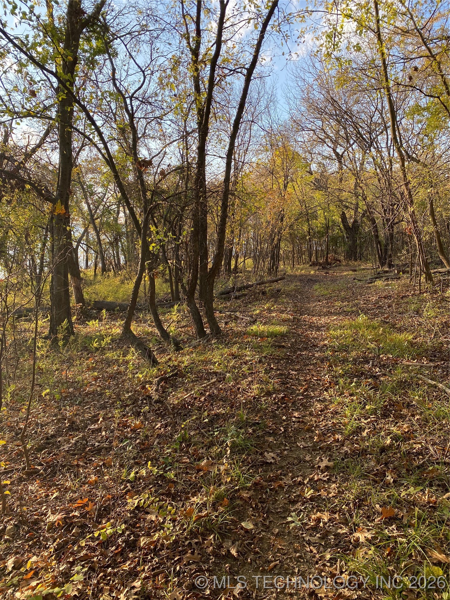 Edgewater Road Property Photo 12