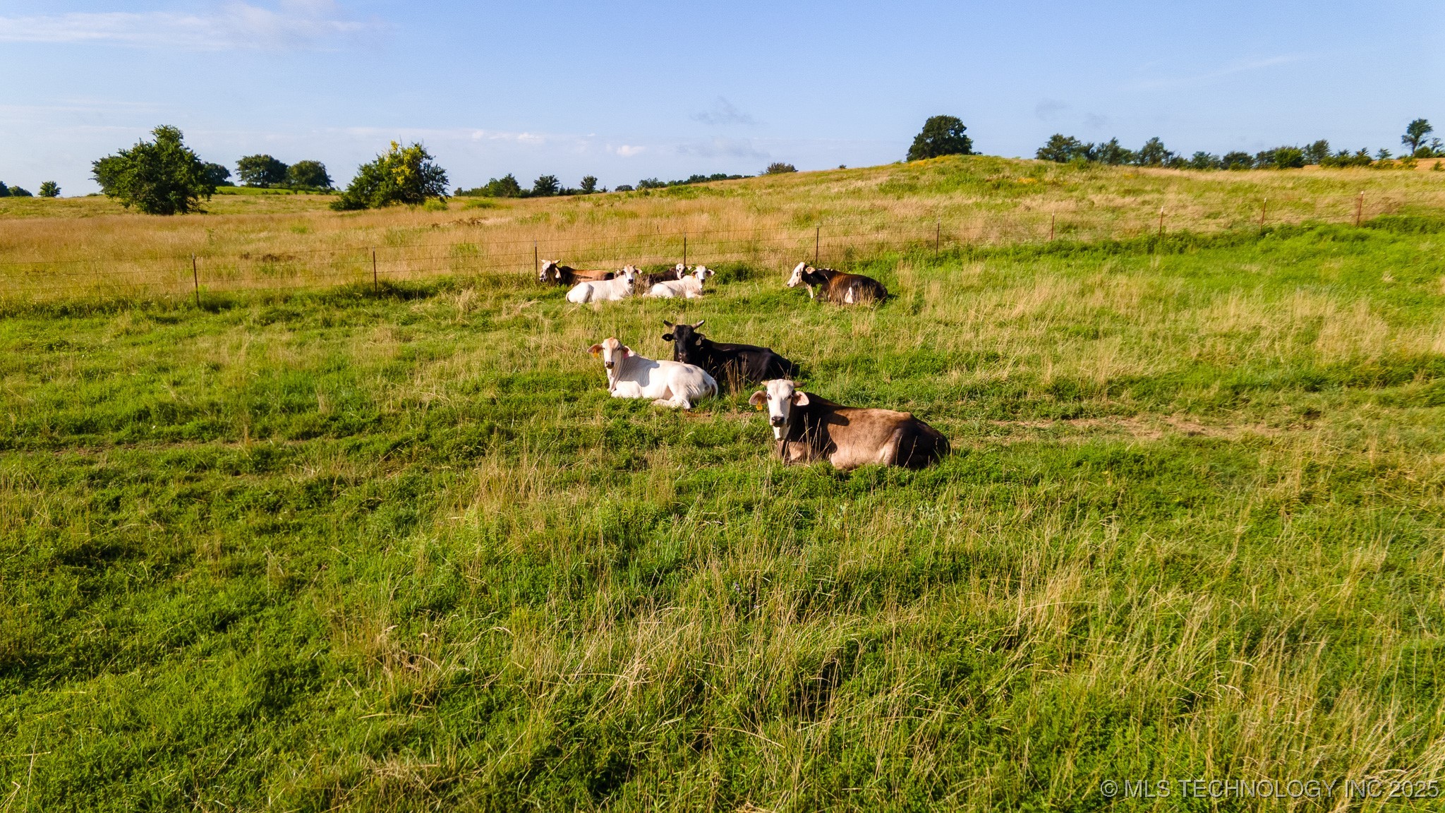 5750 Tannehill Property Photo 28