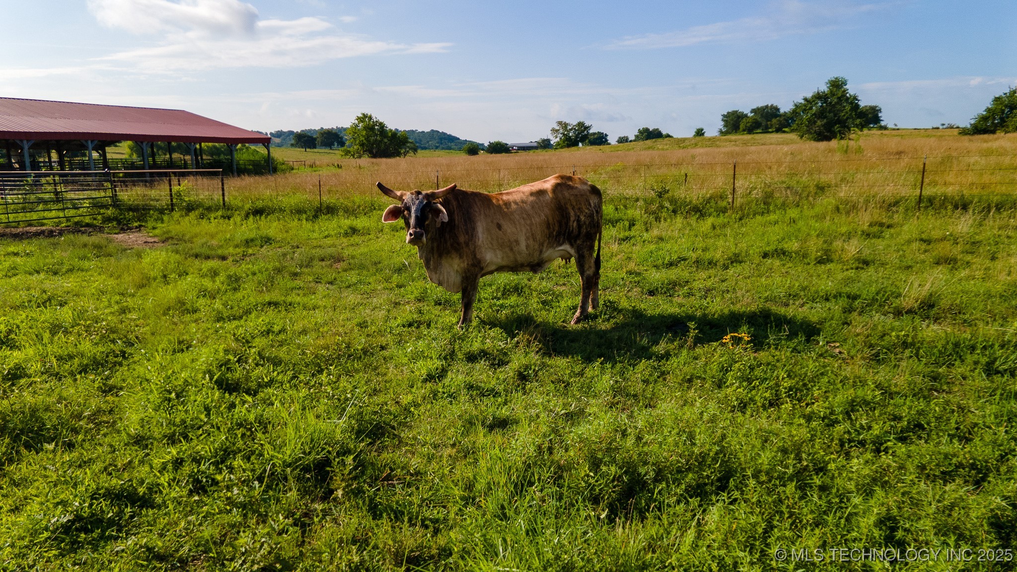 5750 Tannehill Property Photo 29
