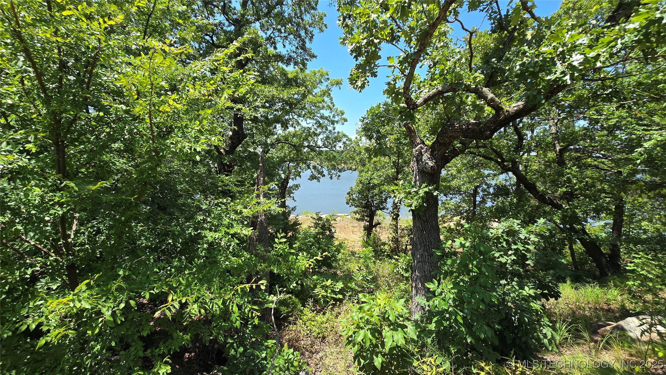 4918 Dozer Mountain Road Property Photo 28