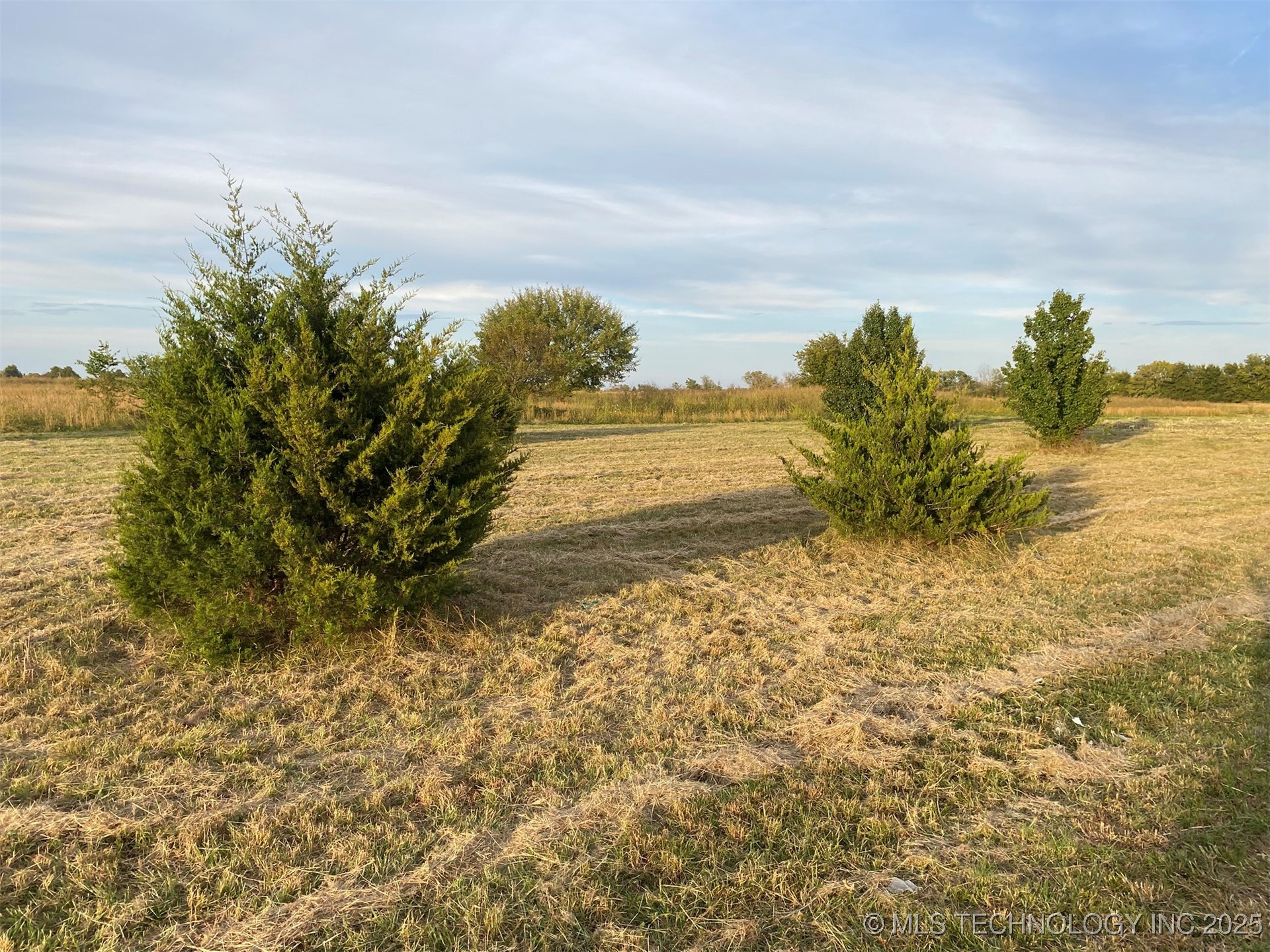 2297 Ne 1st Street Property Photo 4