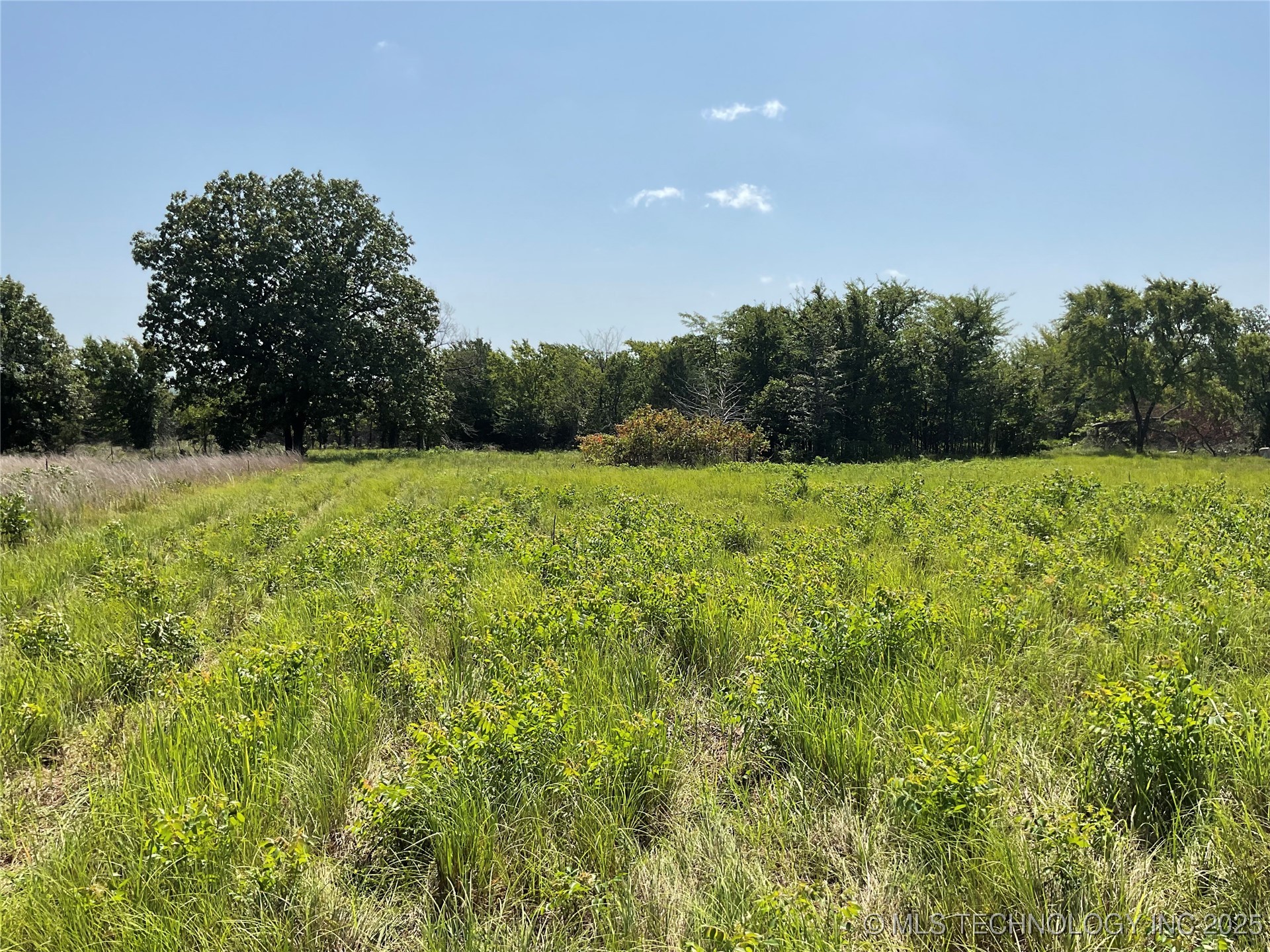 E County Road 1170 Property Photo 36
