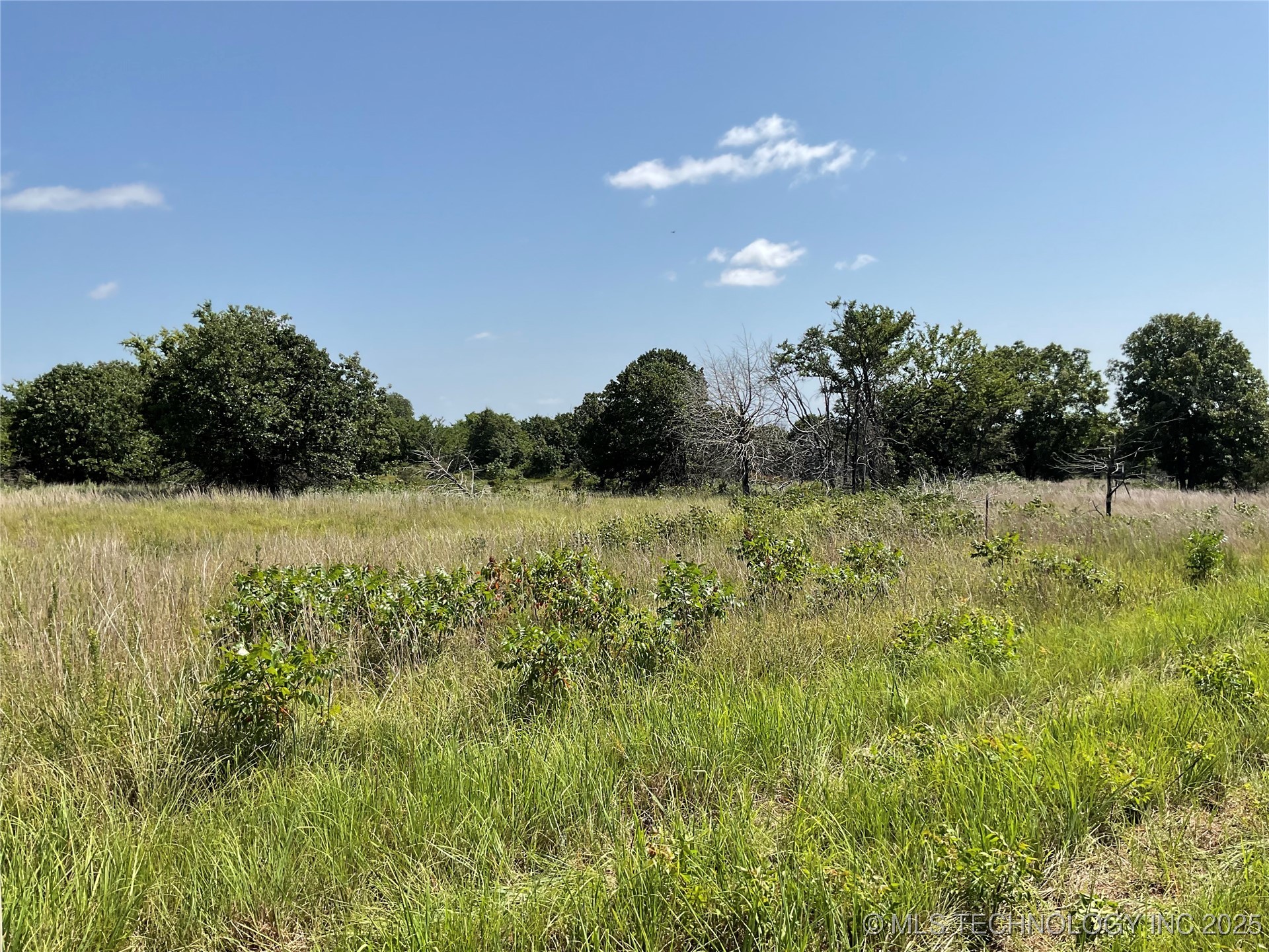 E County Road 1170 Property Photo 38