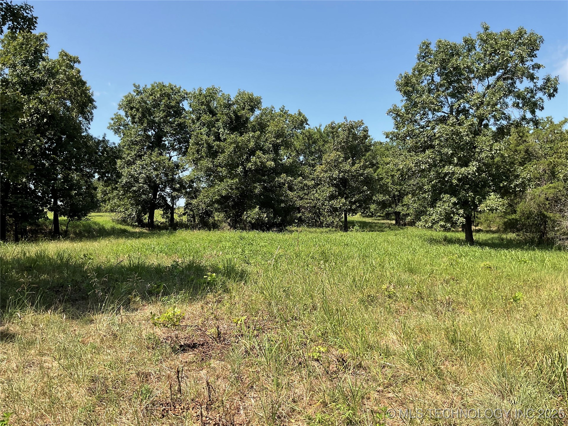 E County Road 1170 Property Photo 41