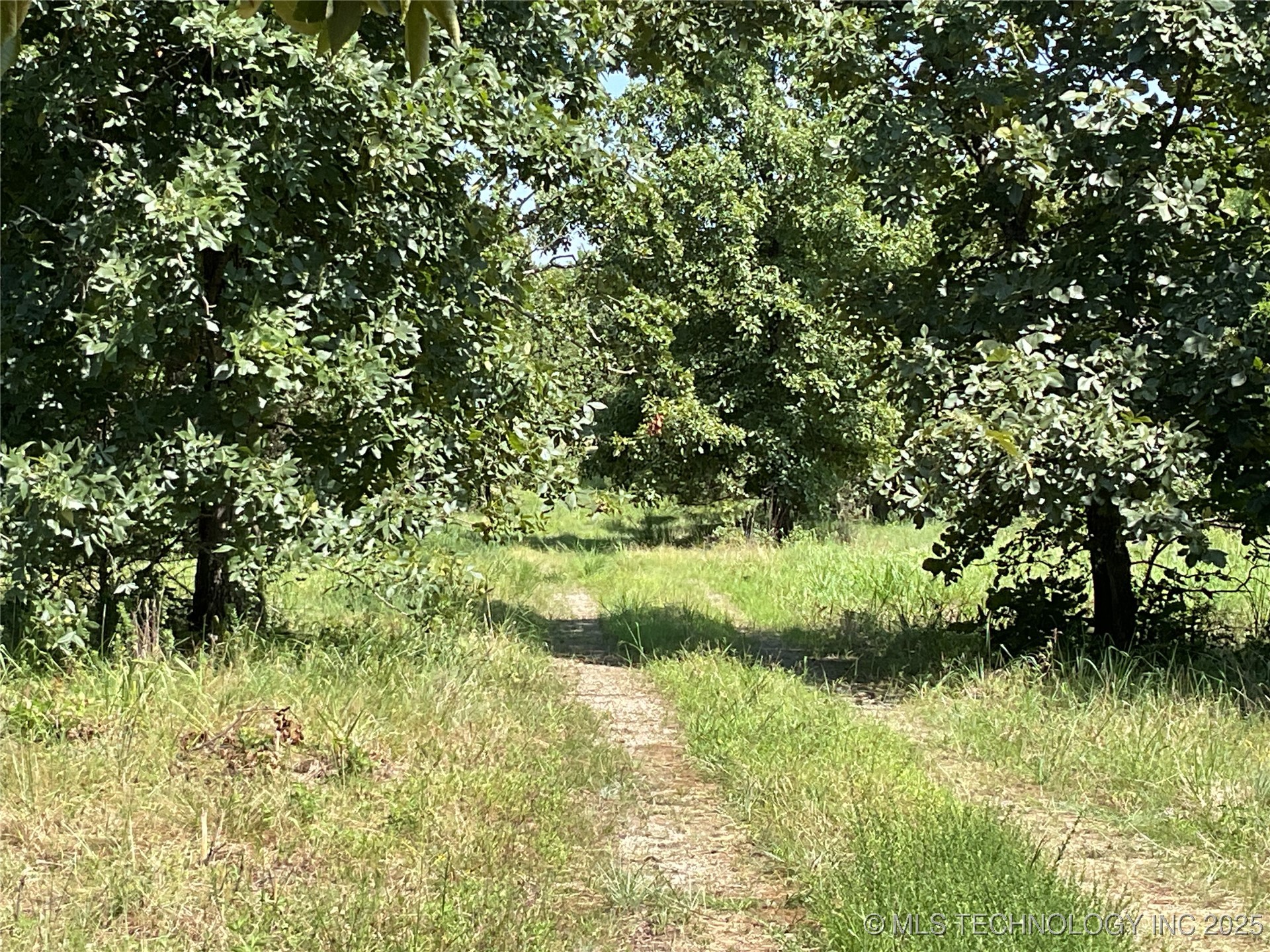 E County Road 1170 Property Photo 42
