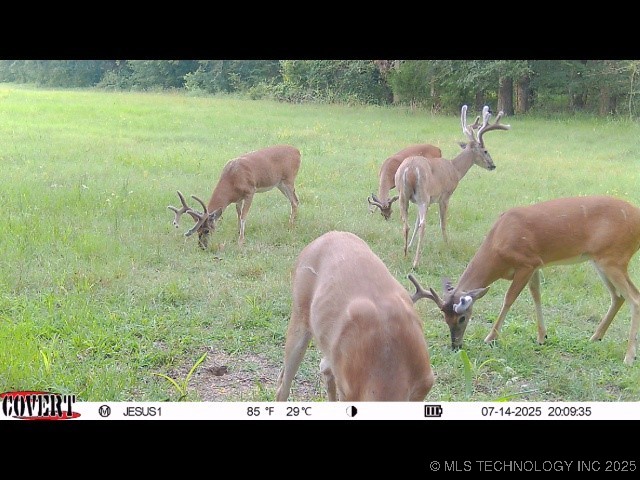 110009 N County Road 3740 Road Property Photo 53